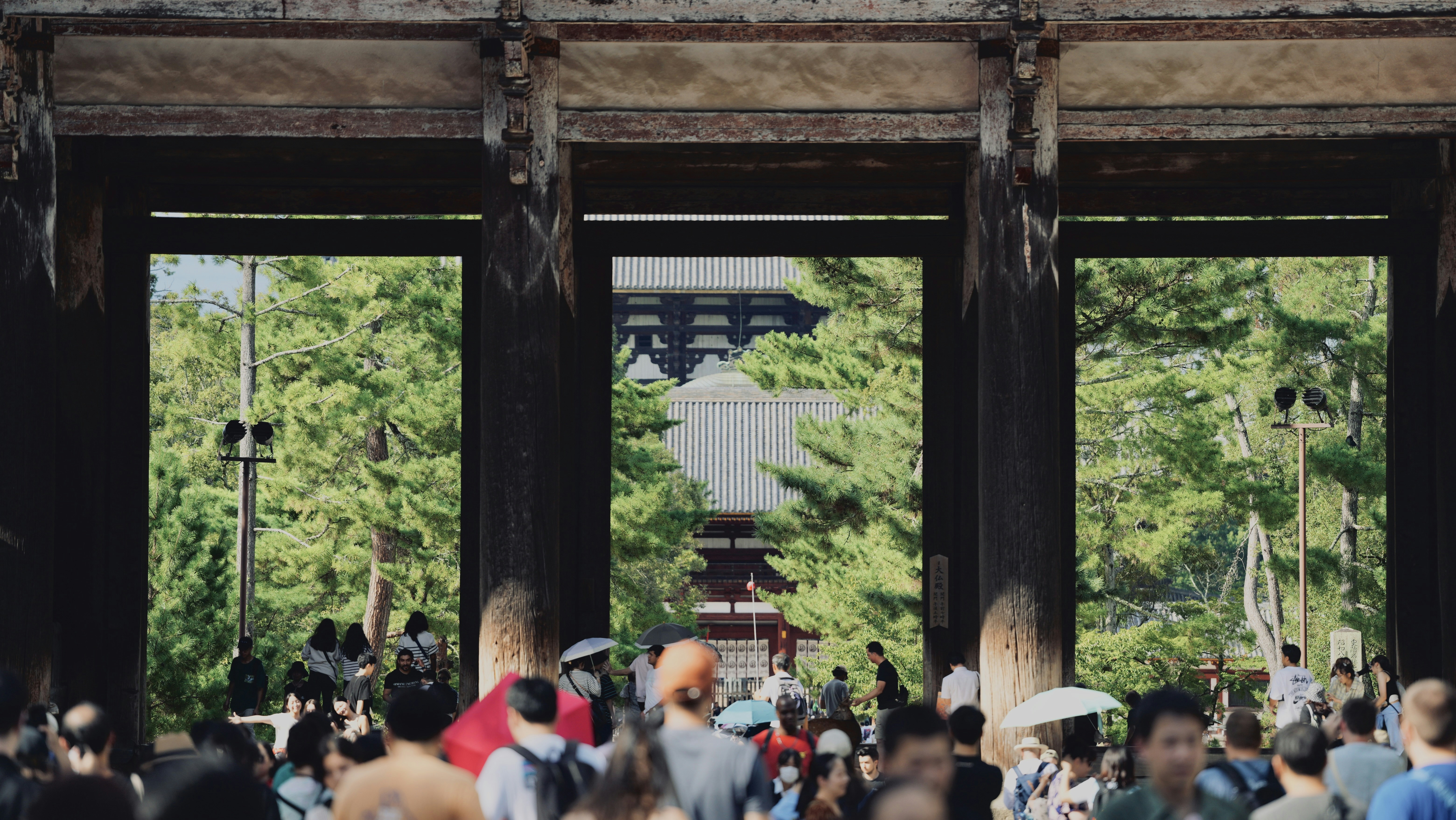 Photo by treesan
