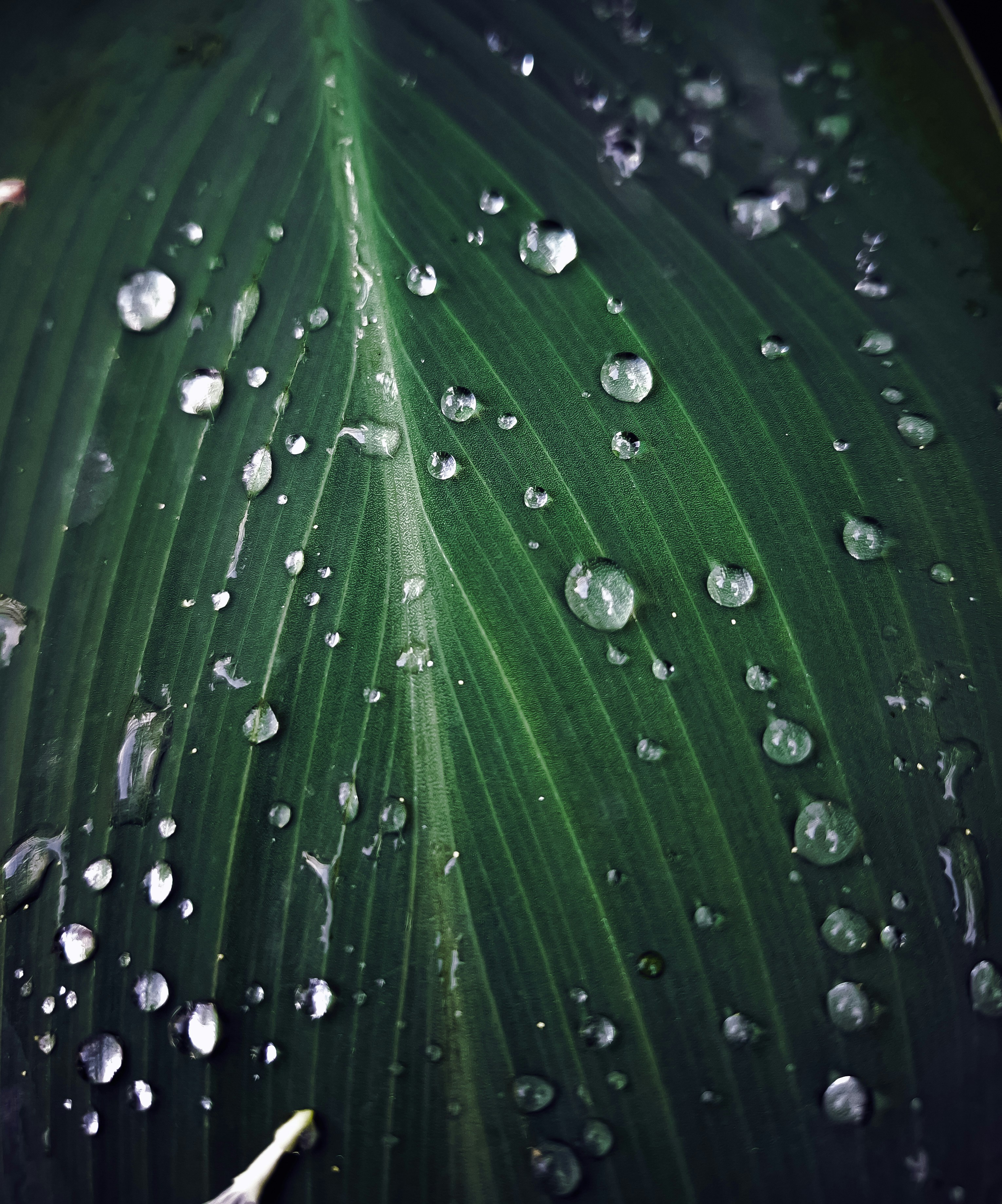 Photo by visualvoyager