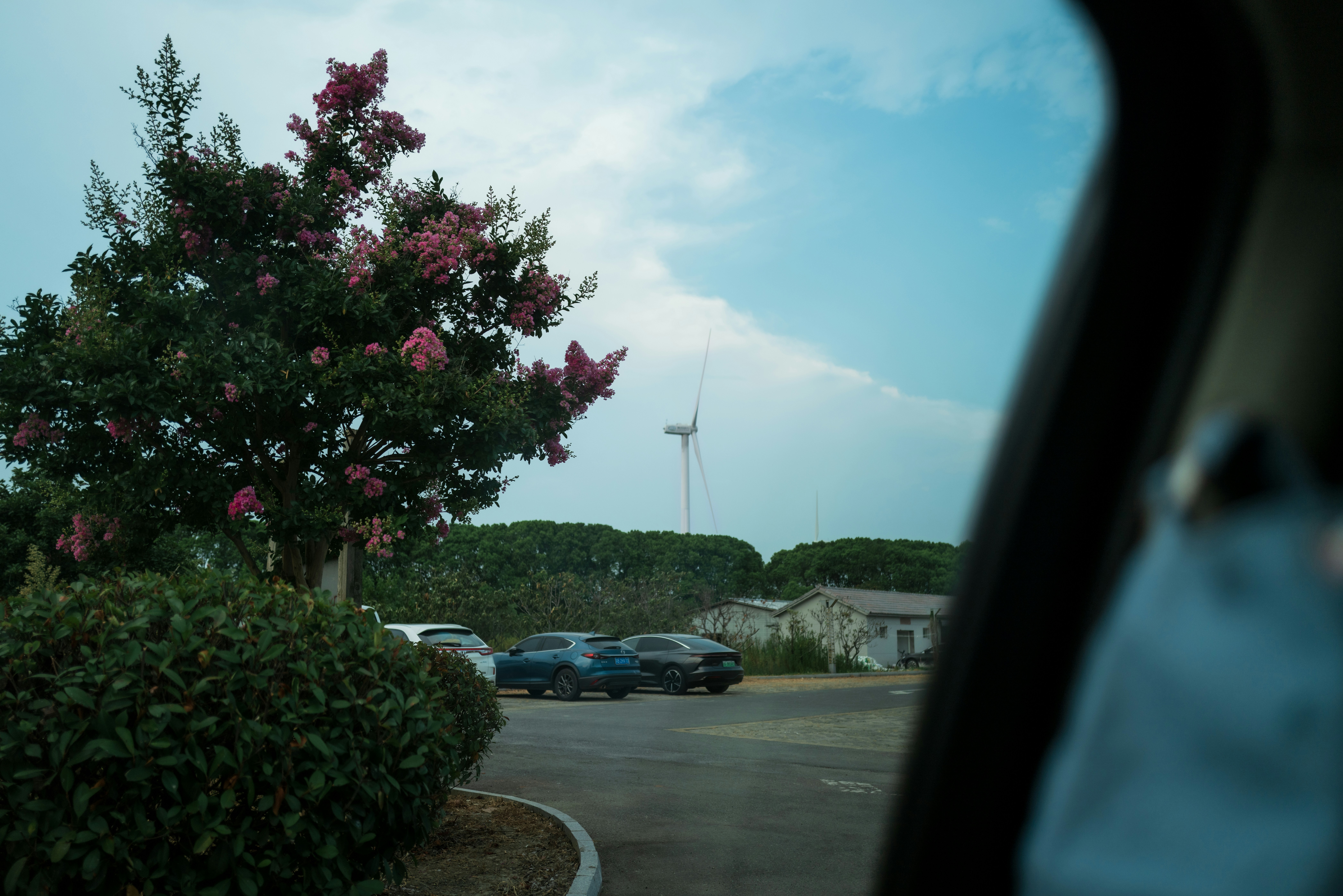 Blick durch ein Autofenster auf einen Parkplatz