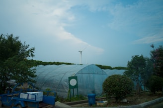 A blue truck parked in front of a green house