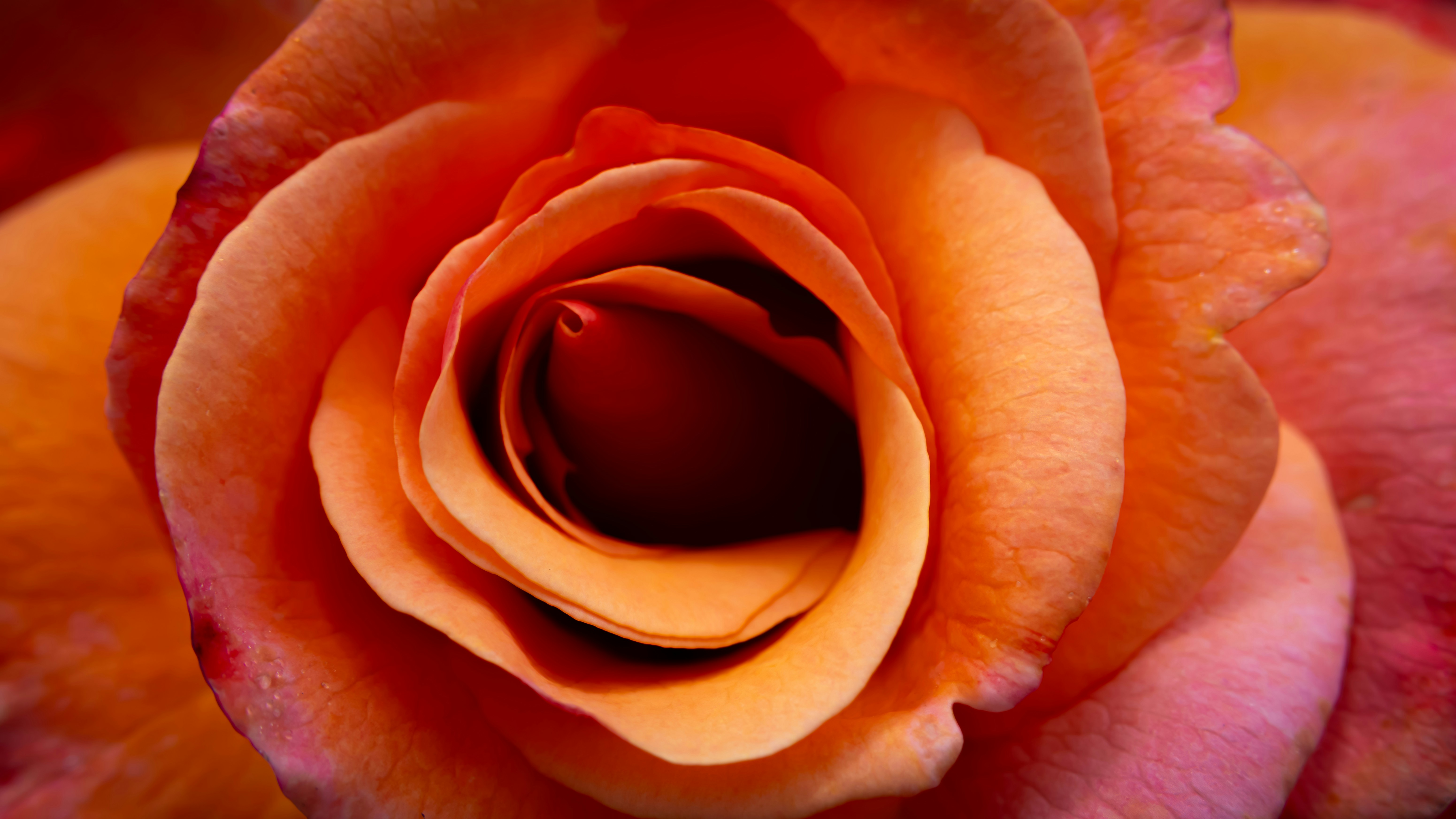 Photo by peterbbryan