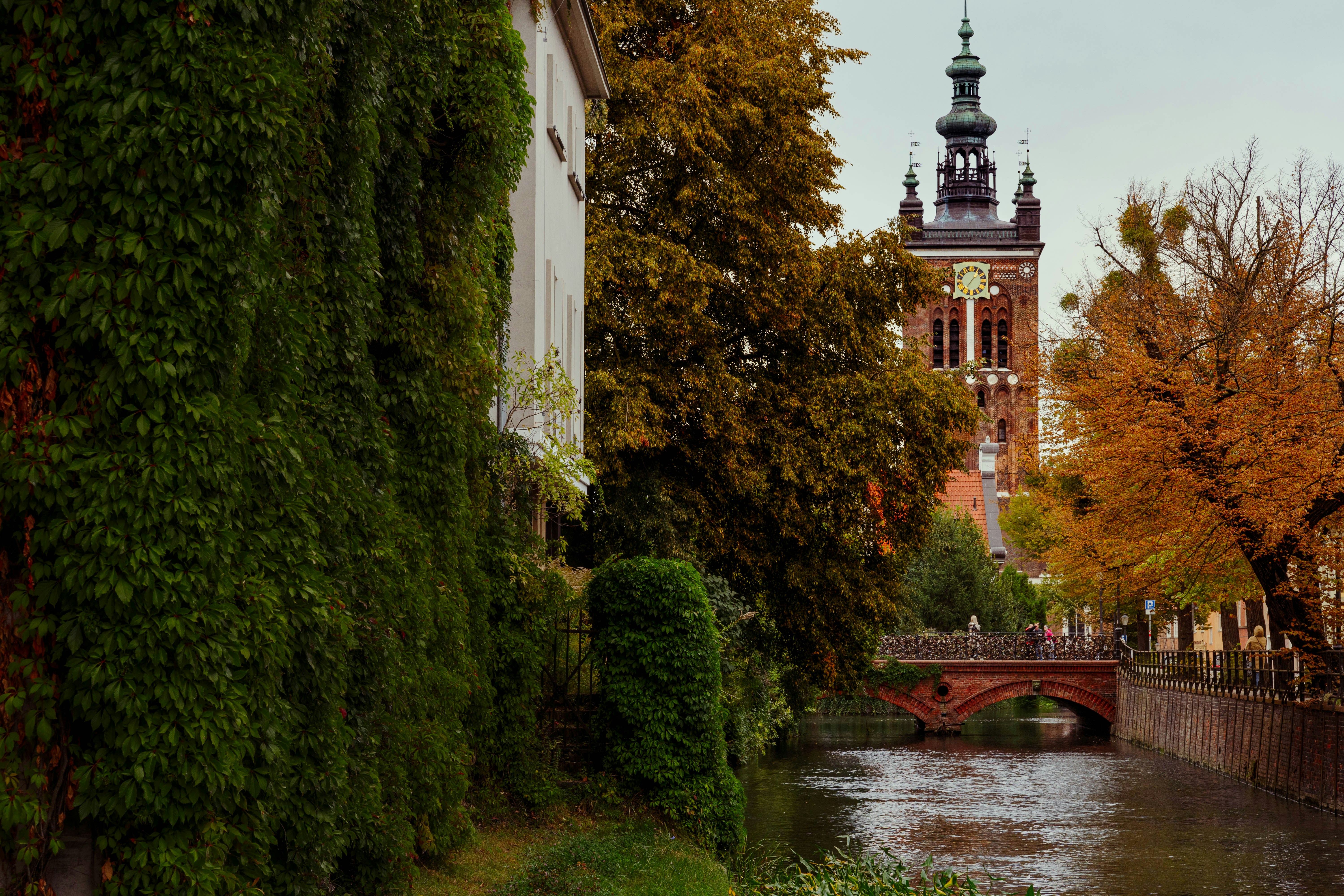 Photo by radek_blackseven