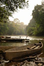 A canoe sitting on top of a river next to a forest
