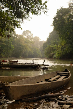 A canoe sitting on top of a river next to a forest
