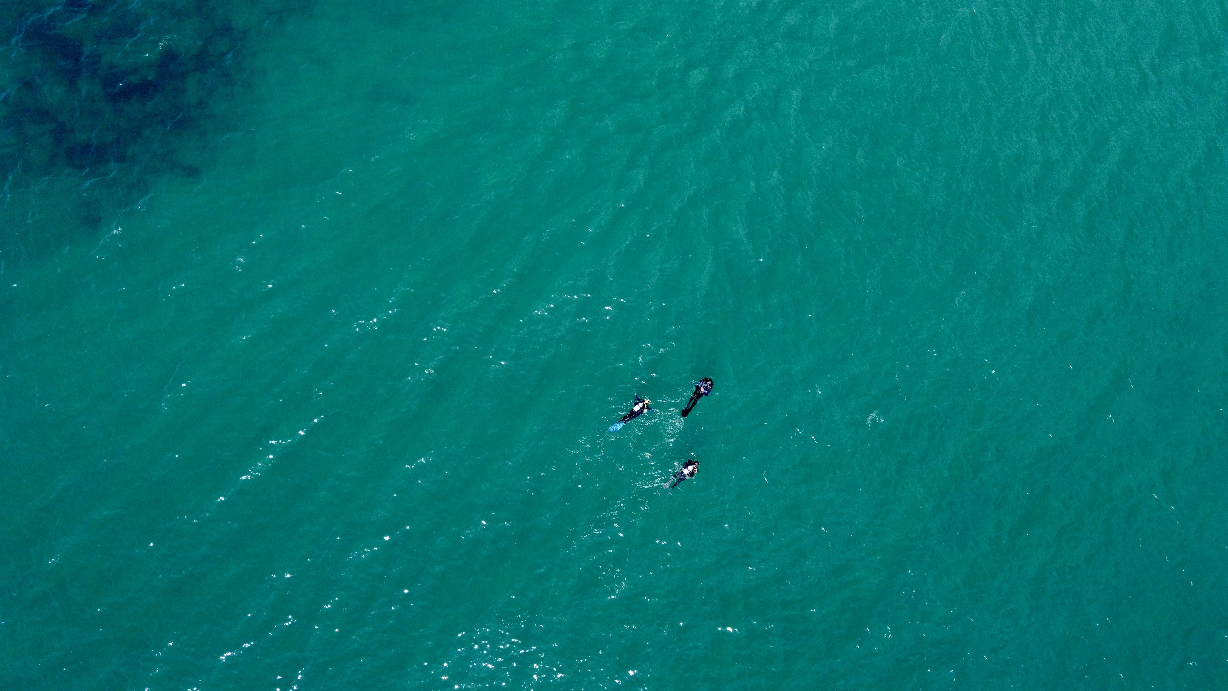 Photo by the_afternoon_photographer