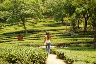A woman walking through a lush green field
