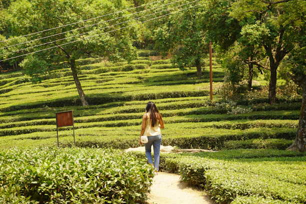 A woman walking through a lush green field