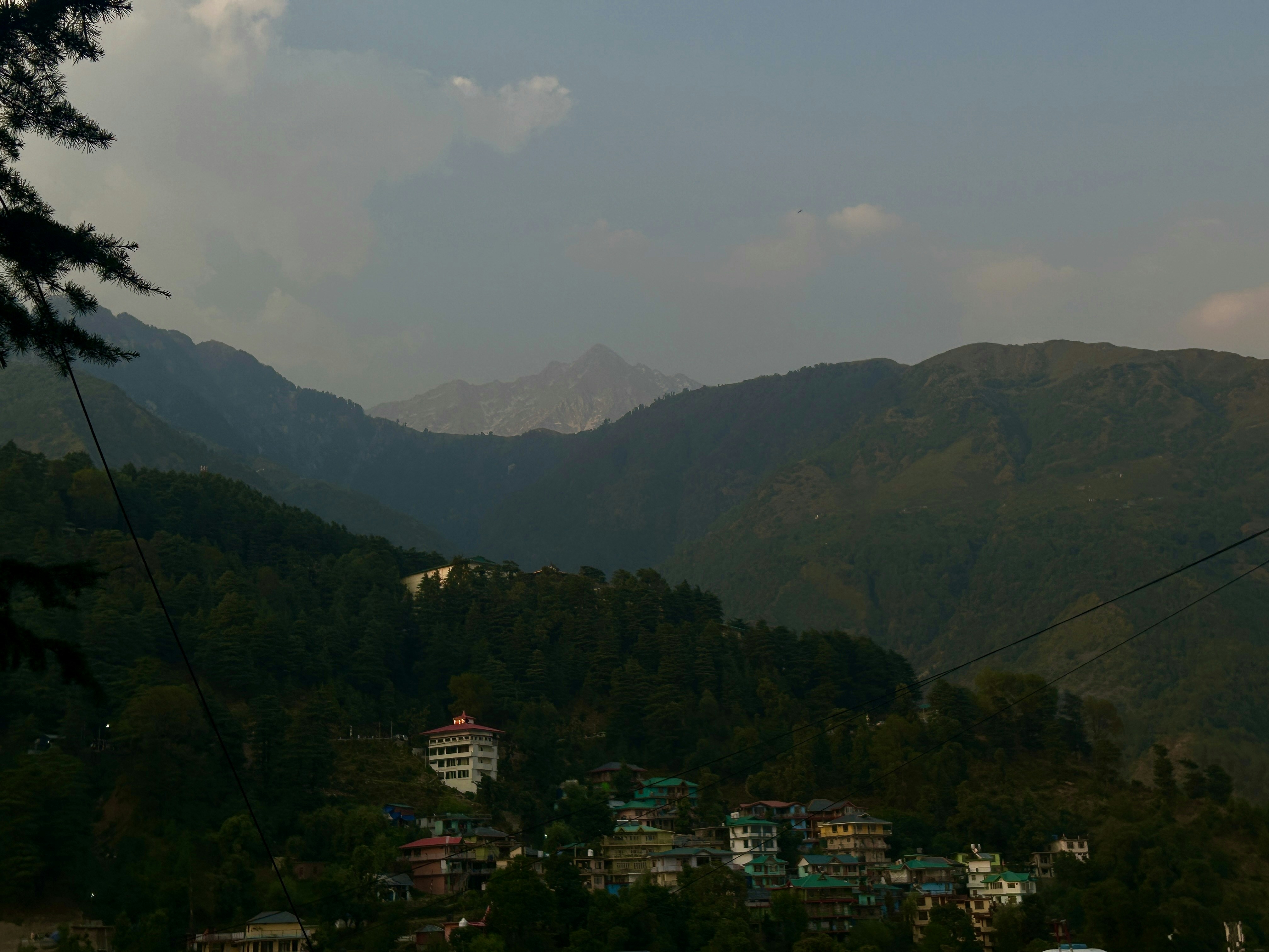 Photo by ashwini_koli