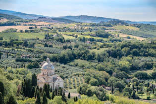 An aerial view of a church surrounded by trees