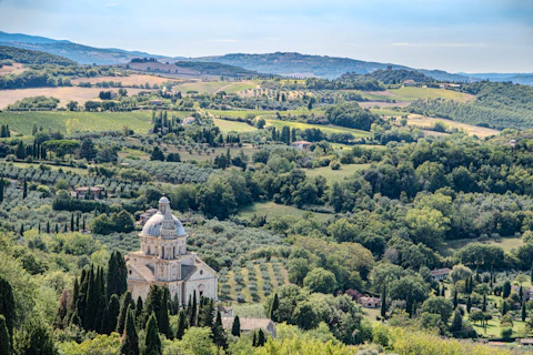 An aerial view of a church surrounded by trees