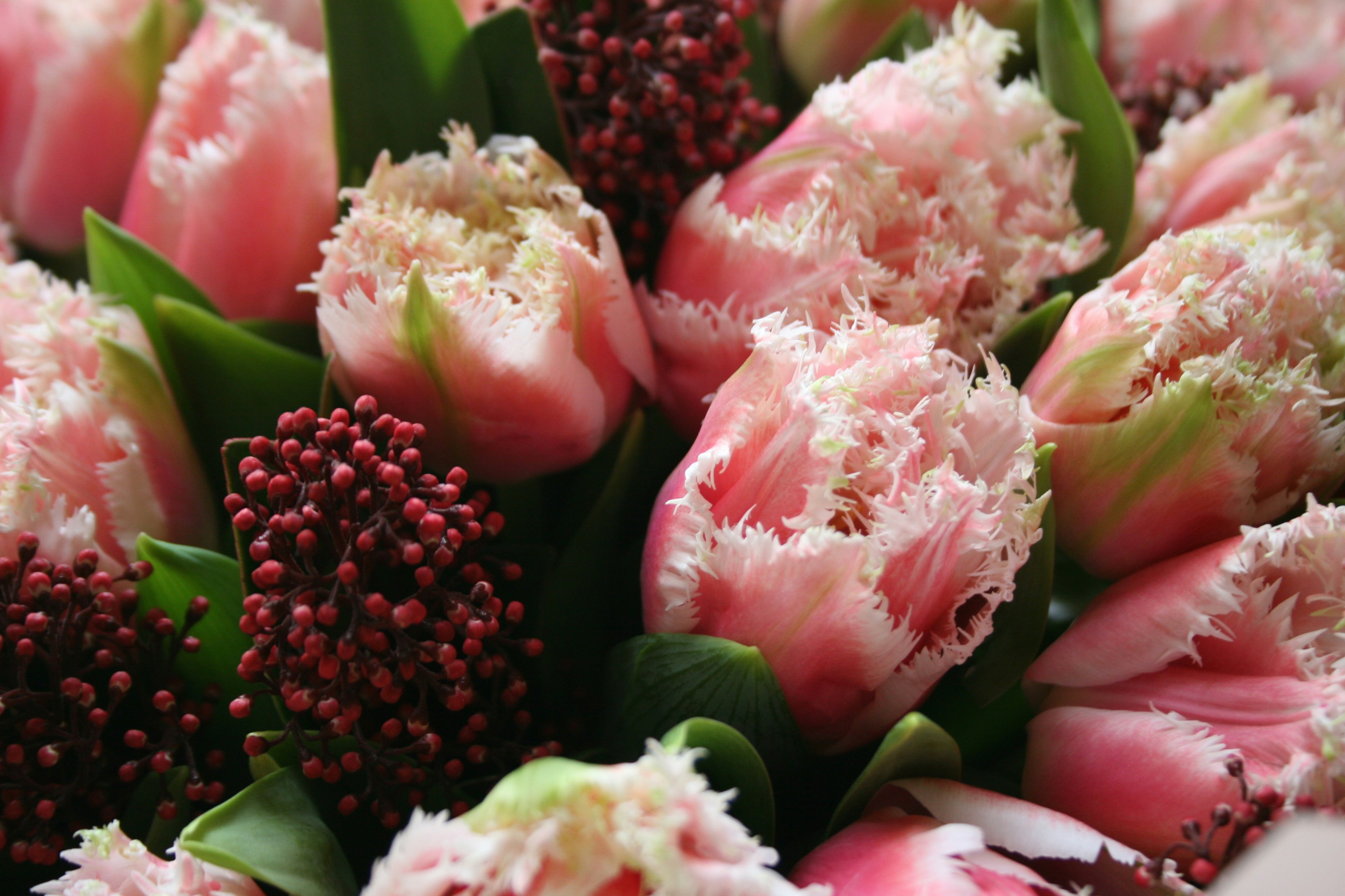 Photo by elizabethokok