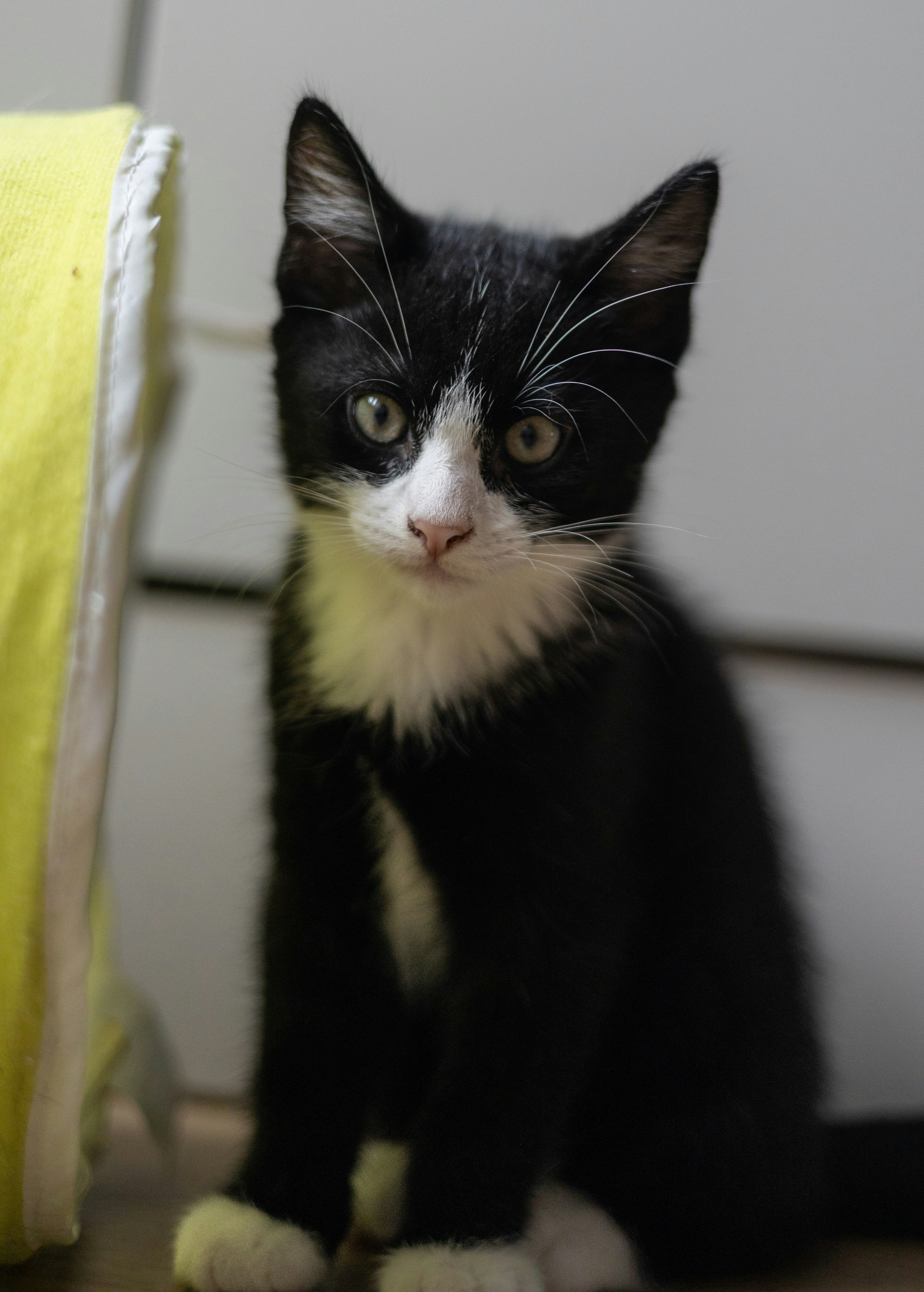 Photo by thomas_de_fretes