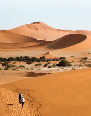 namib desert, sossusvlei dunes