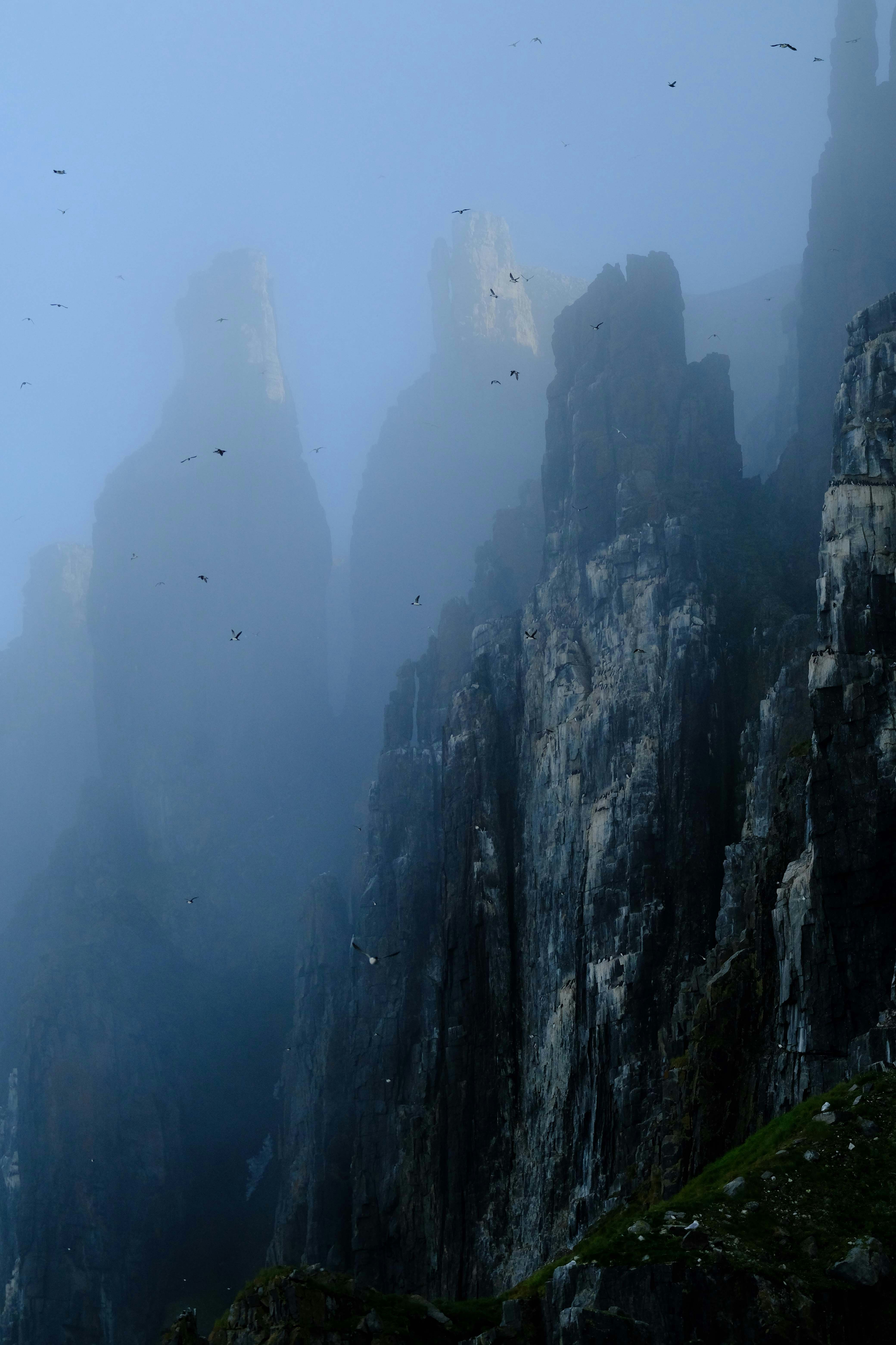 Photo by francesco_ungaro