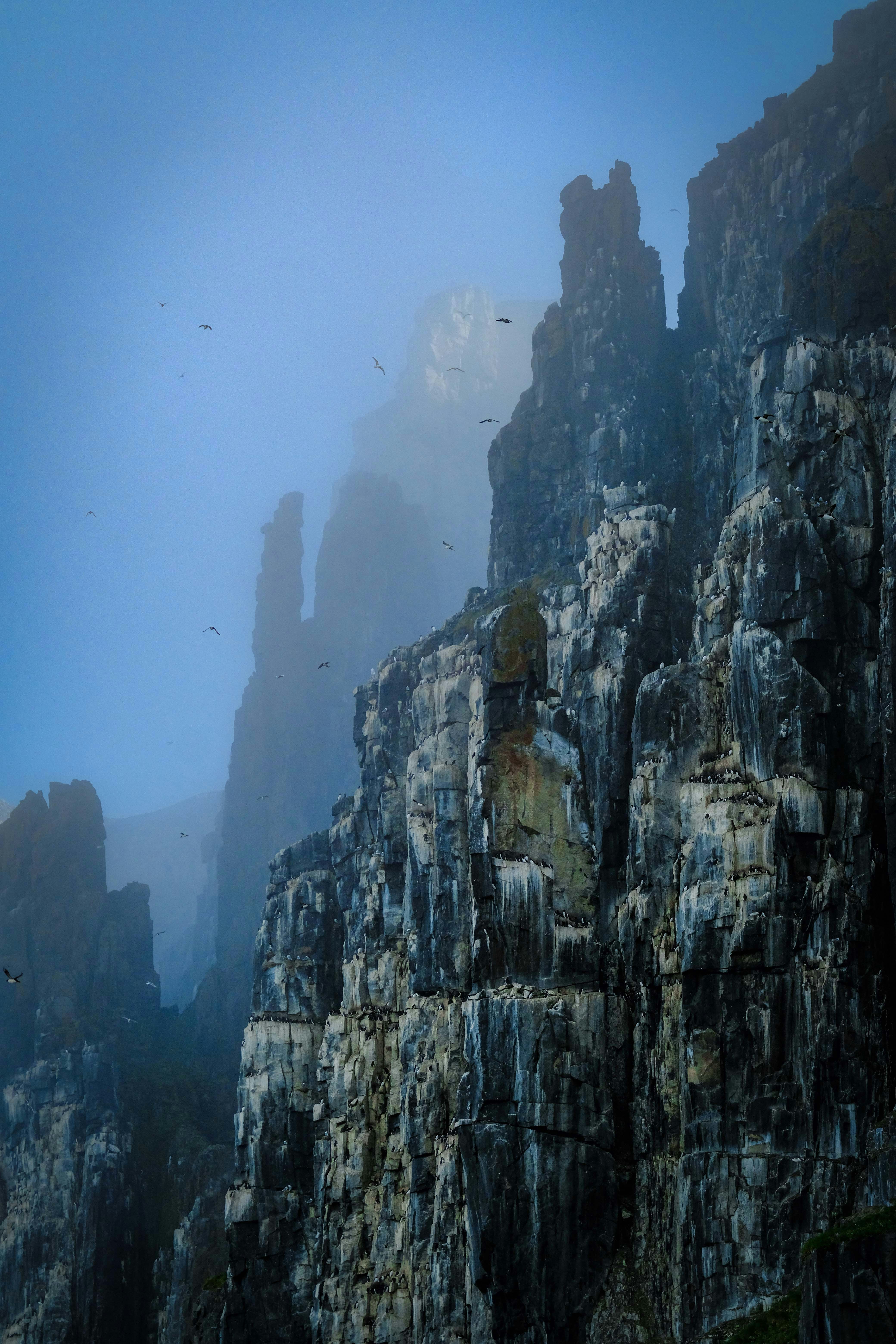 Photo by francesco_ungaro