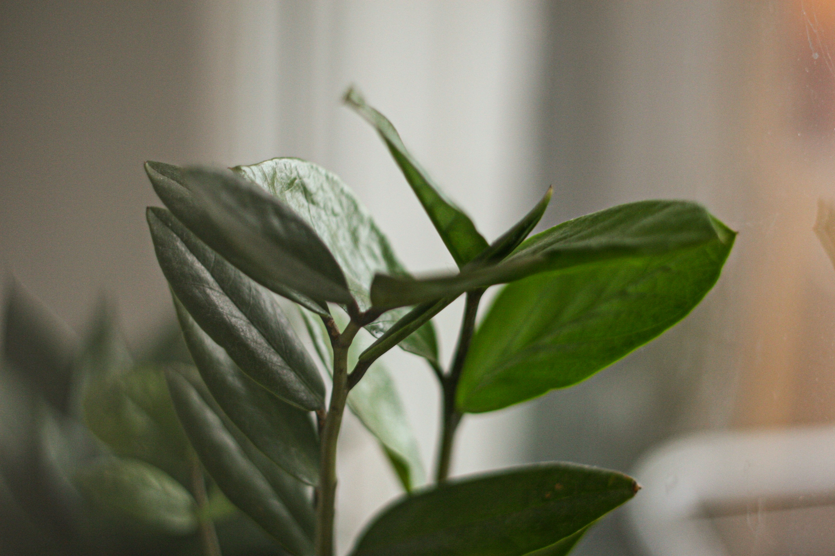 Photo by elizabethokok