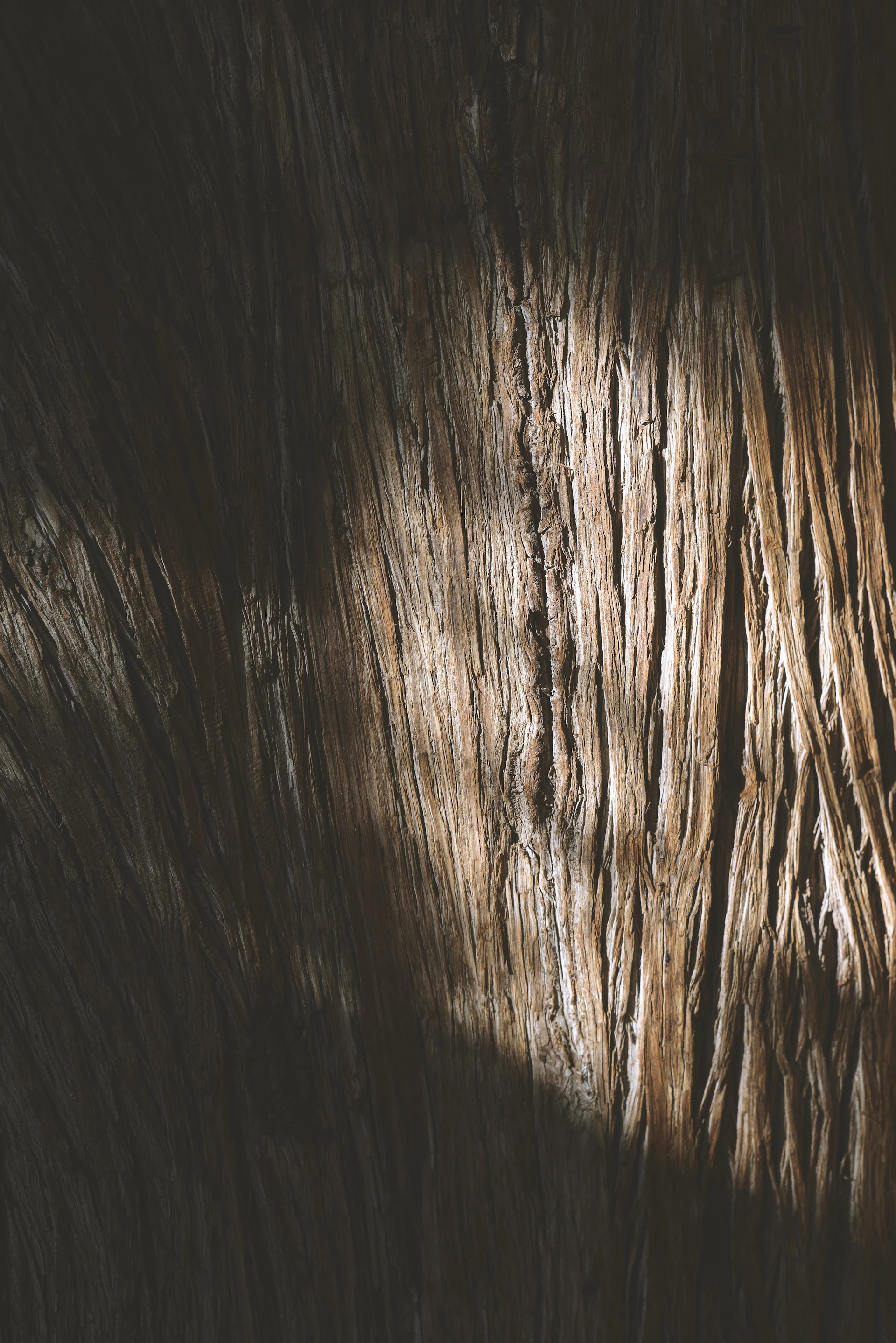 A close up of a wood grain texture