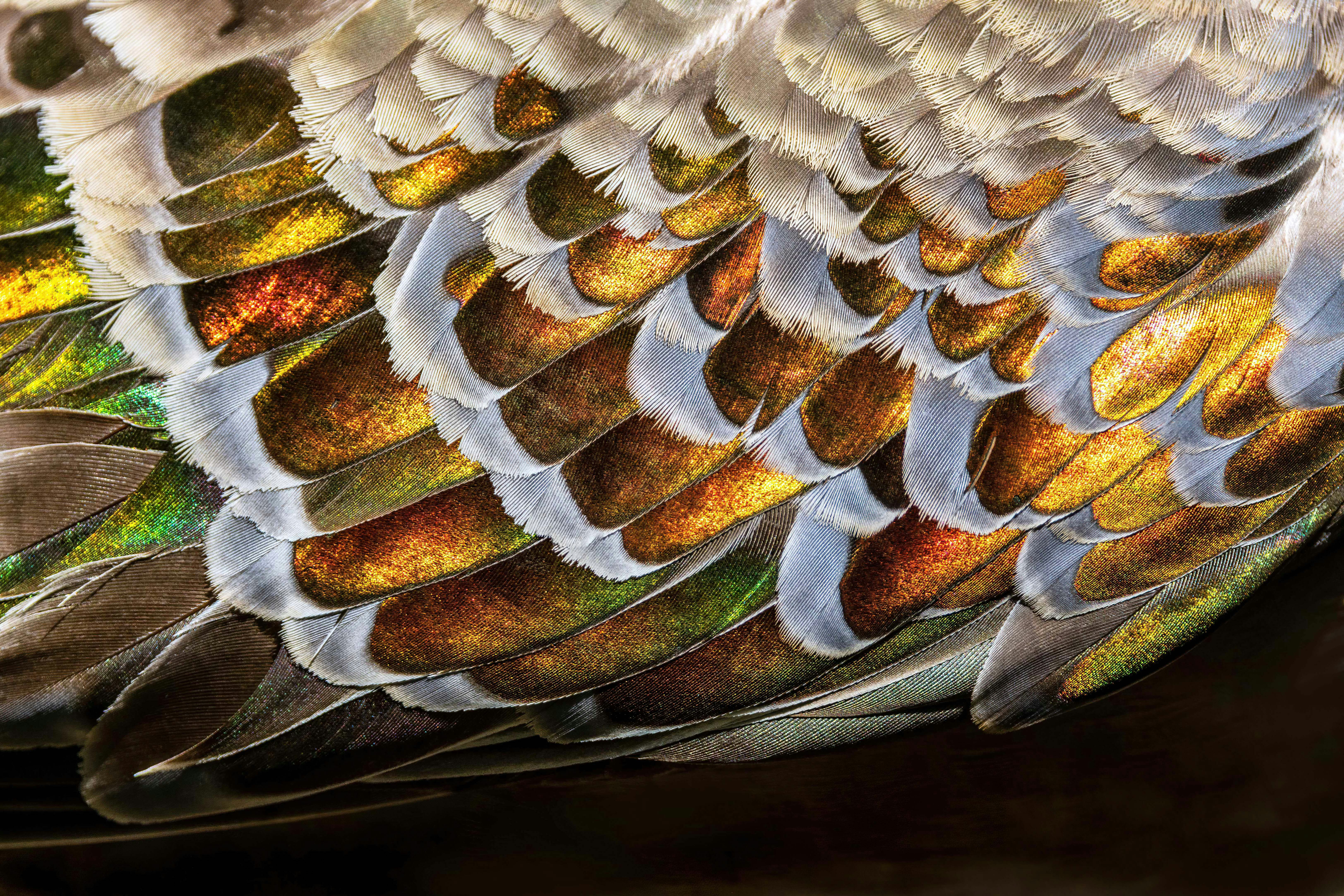 동사무소에서 헬스 등록을 위한 준비물: 필수 내용 정리하기