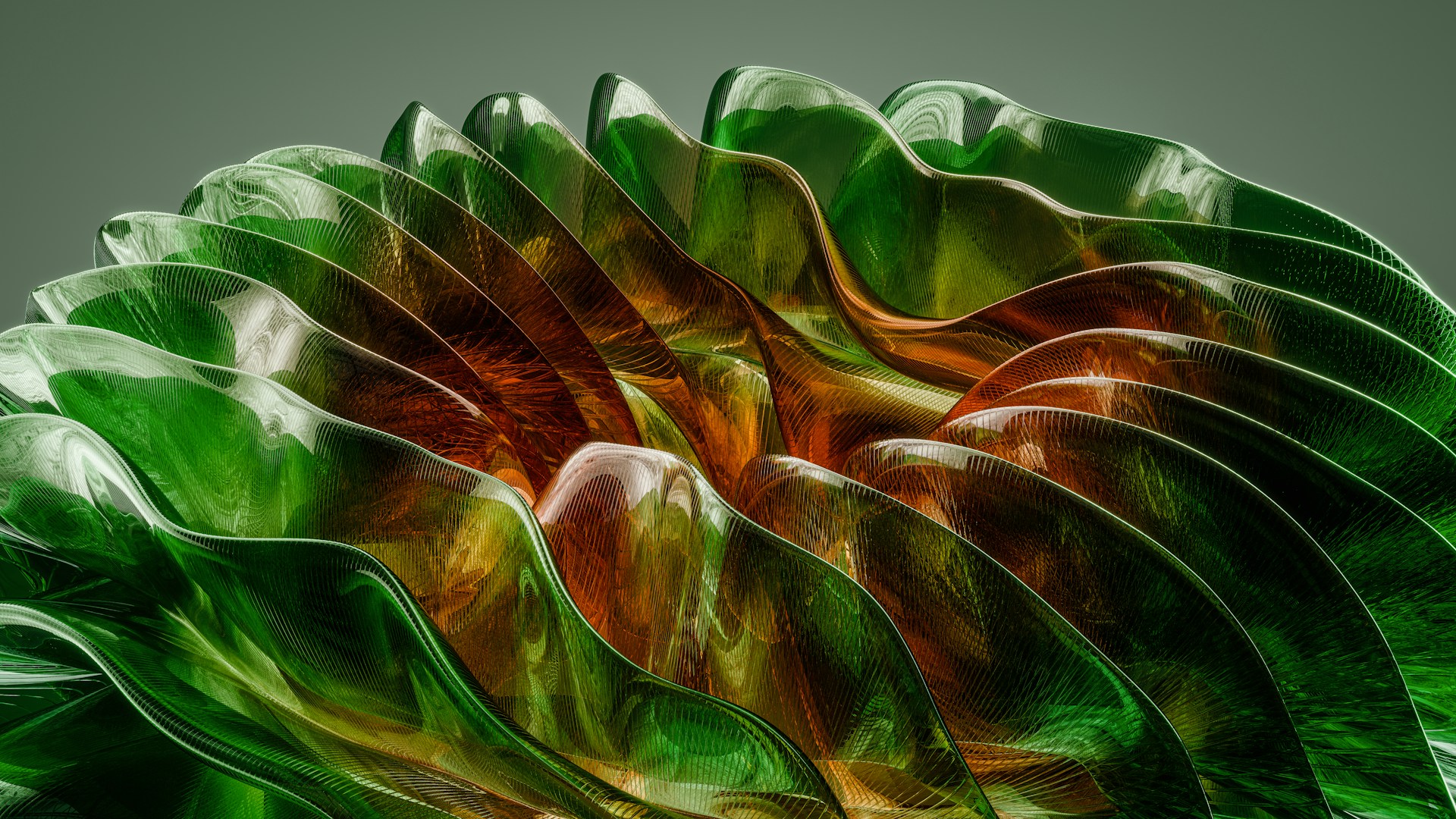 A close up of a large green leaf