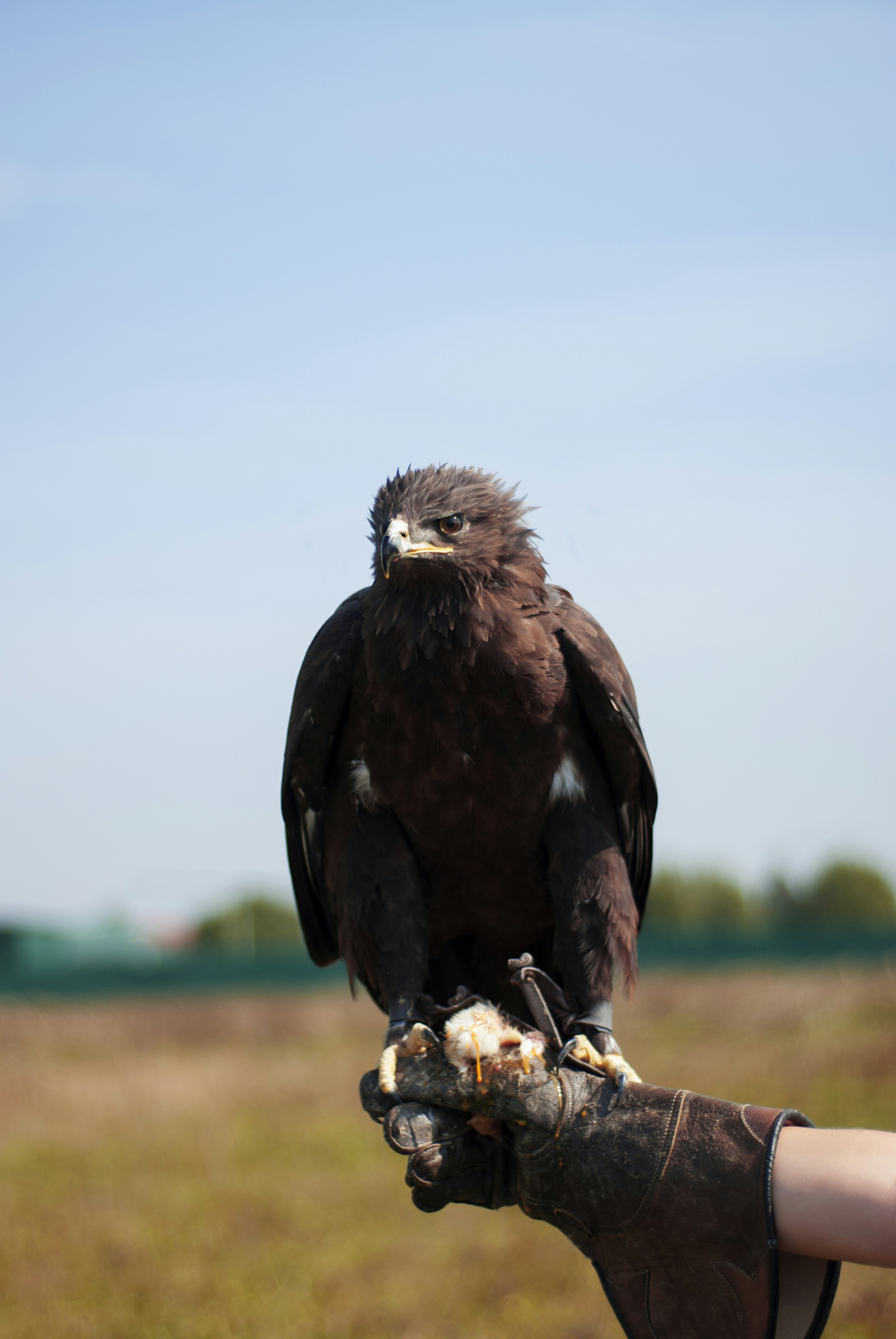 Photo by kovalskihelga