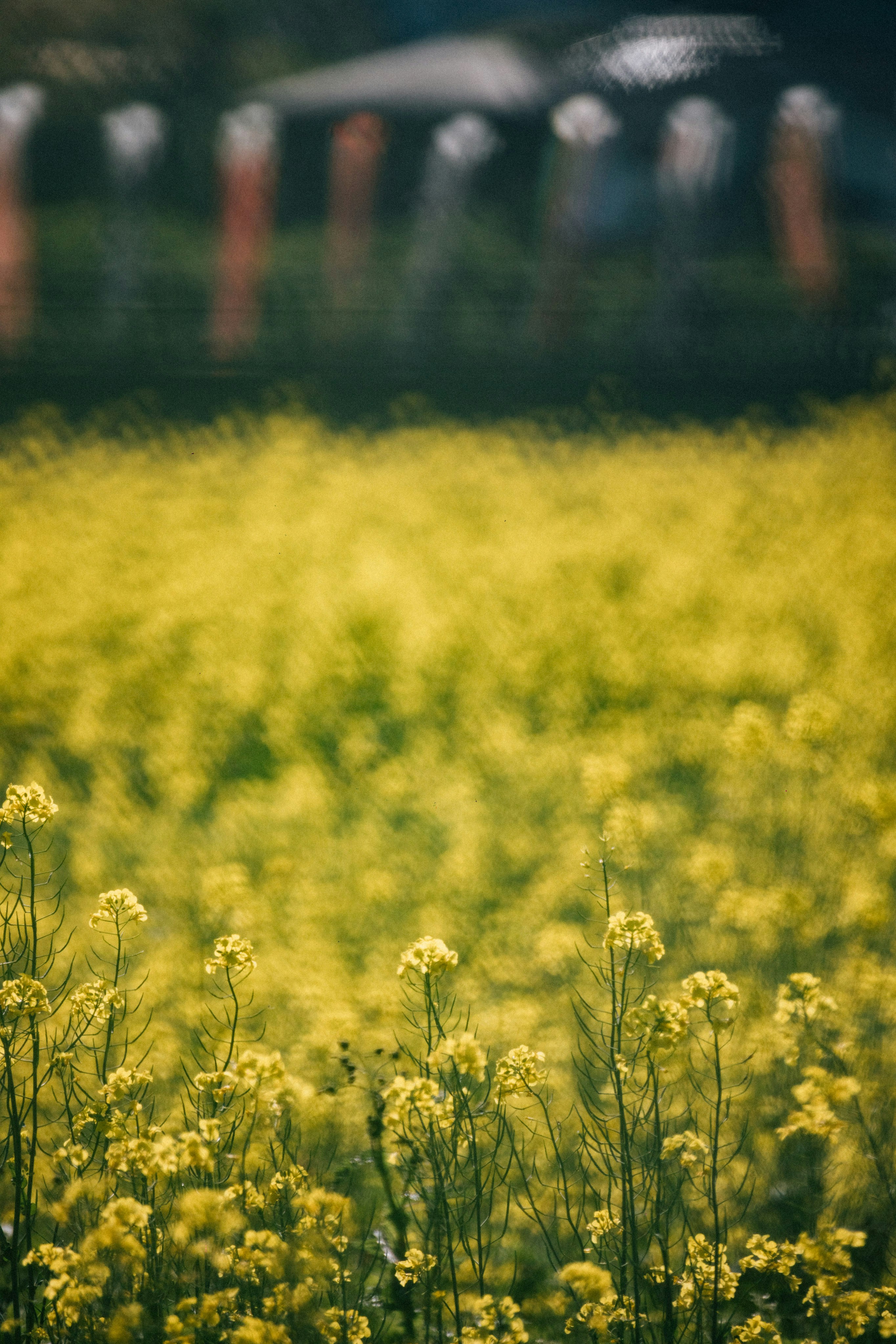 Photo by tsuyoshikozu