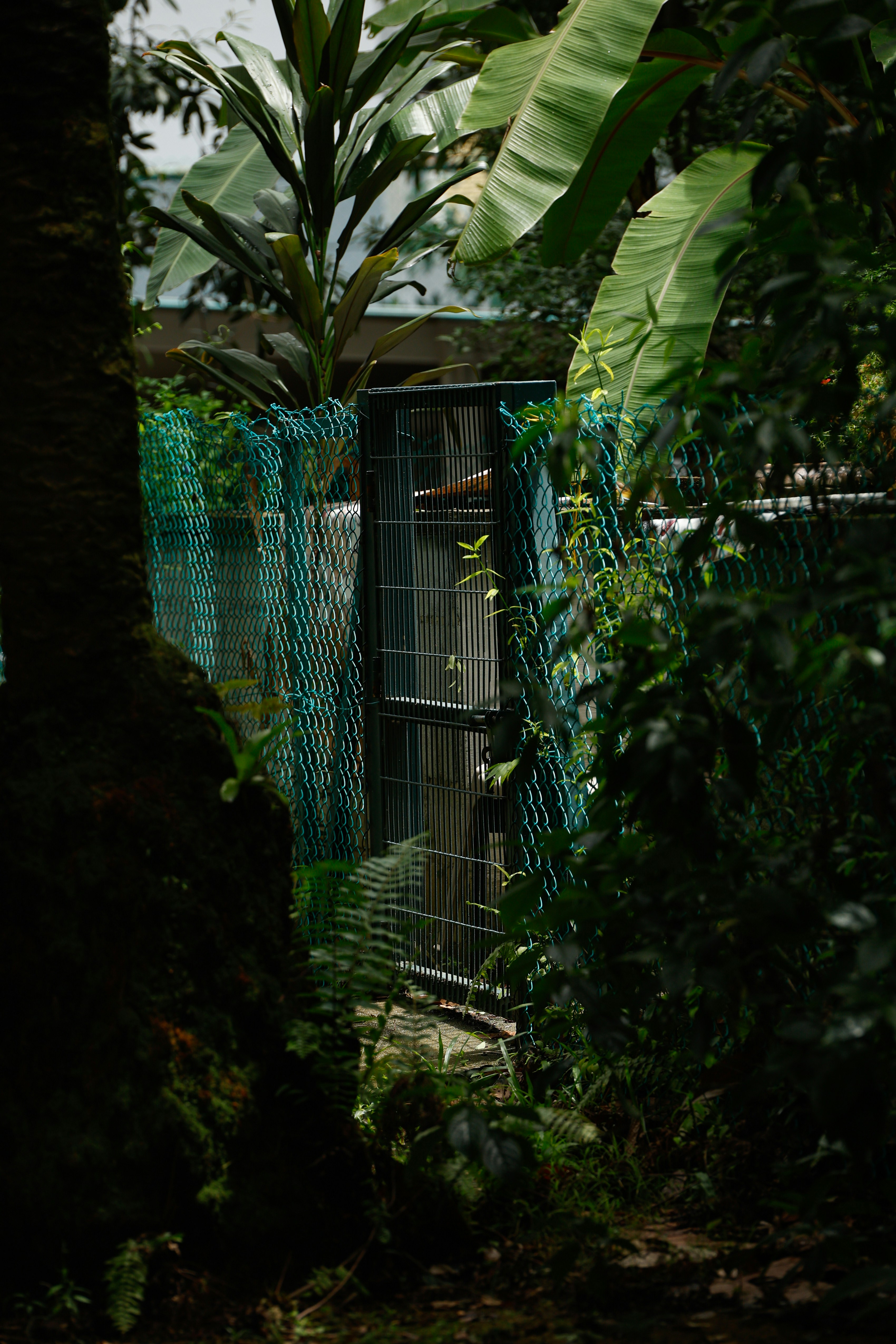 Discover Your Eco Paradise: Exploring Maya Properties in Riviera Maya