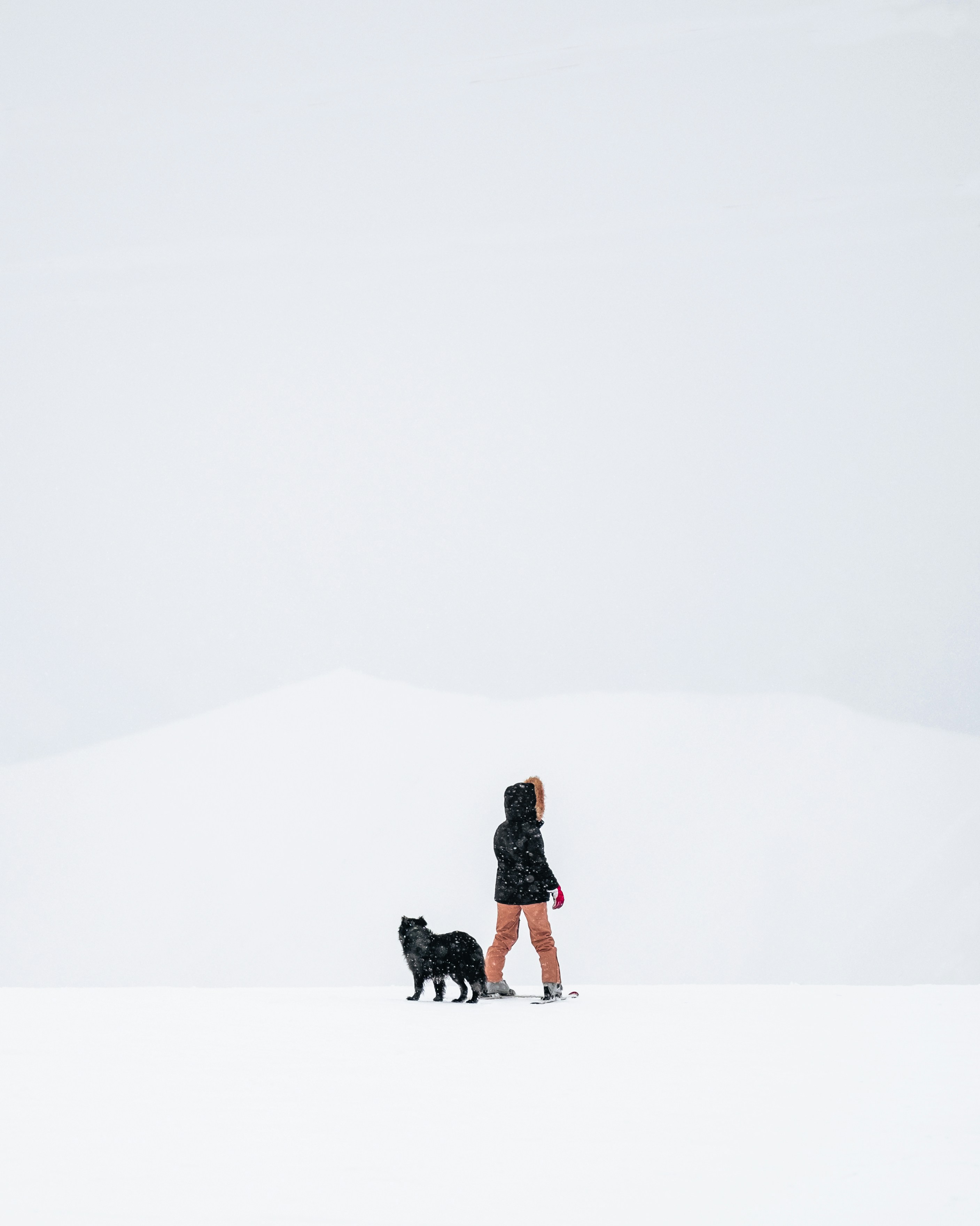 Una persona paseando a un perro en la nieve
