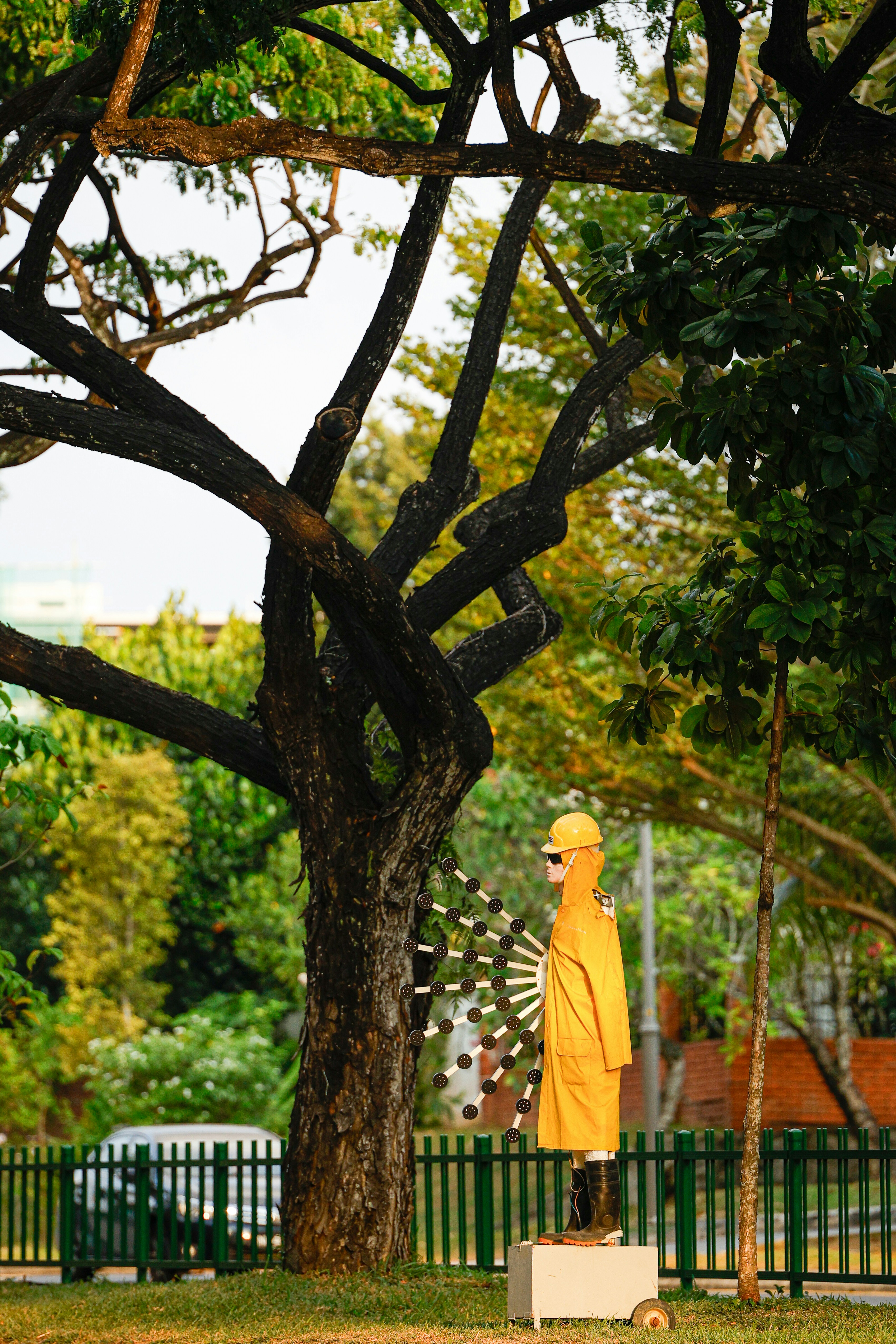A person in a yellow raincoat standing under a tree