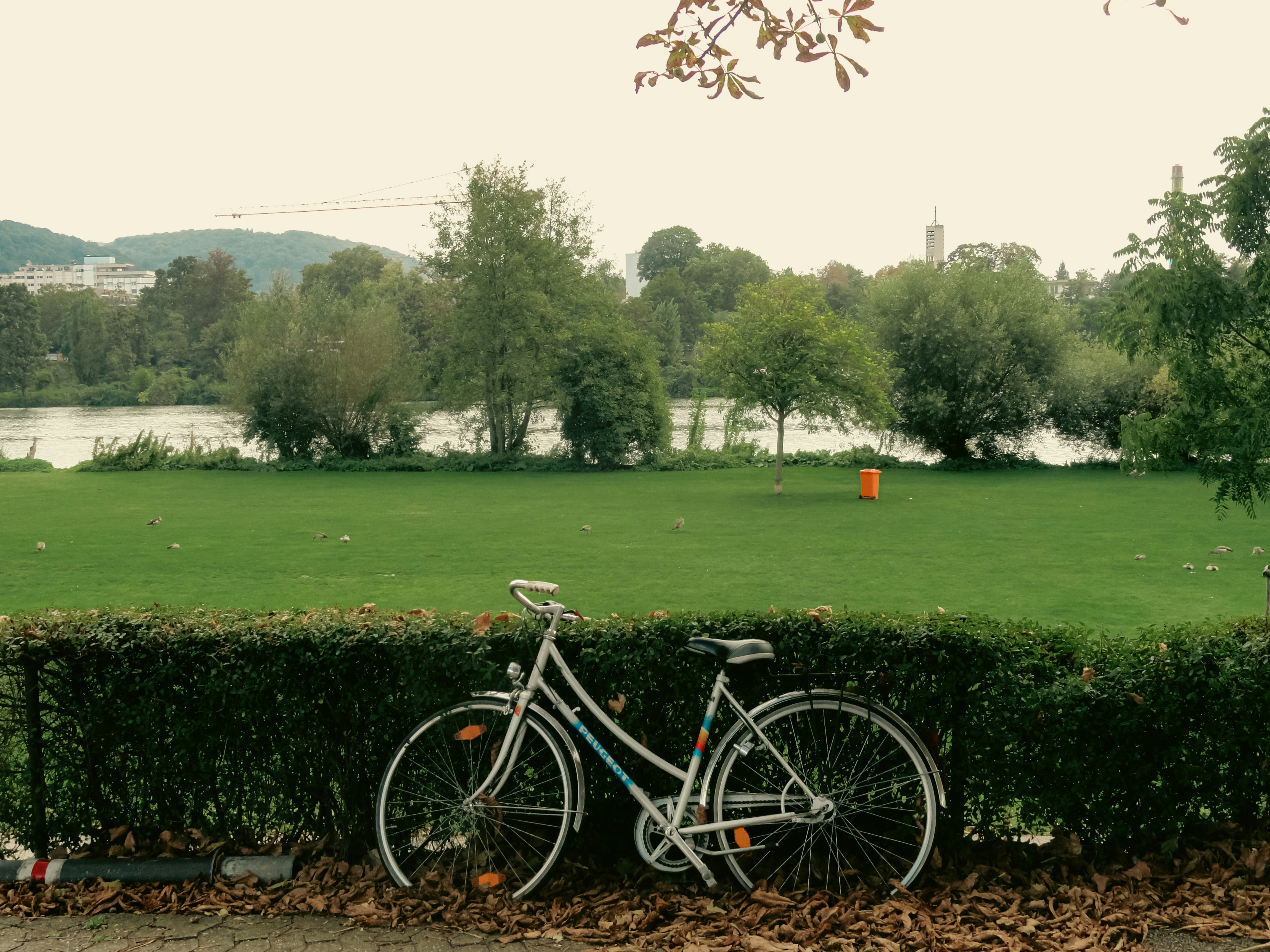 Loc à Vélo