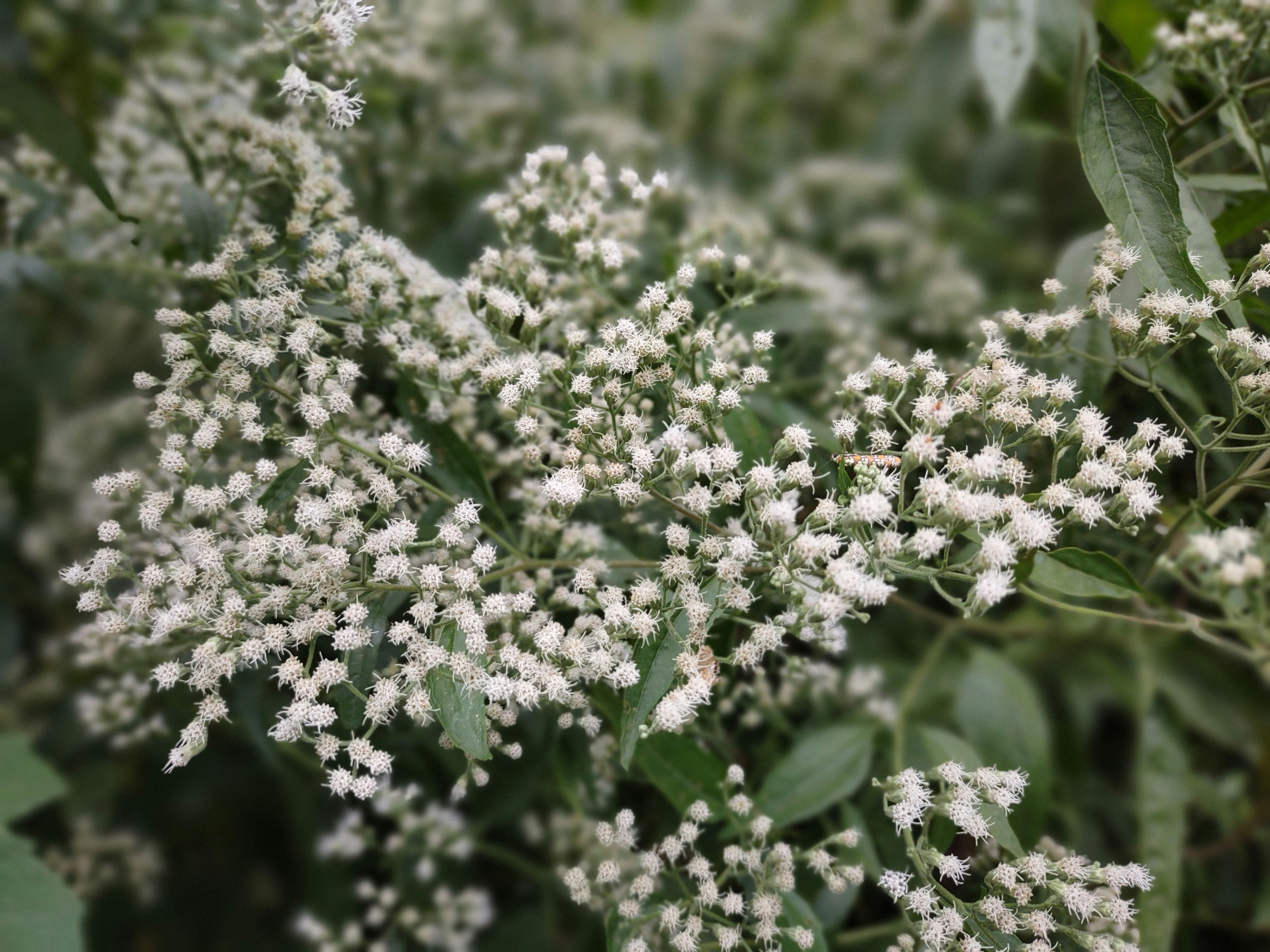 Photo by jaxstarke99