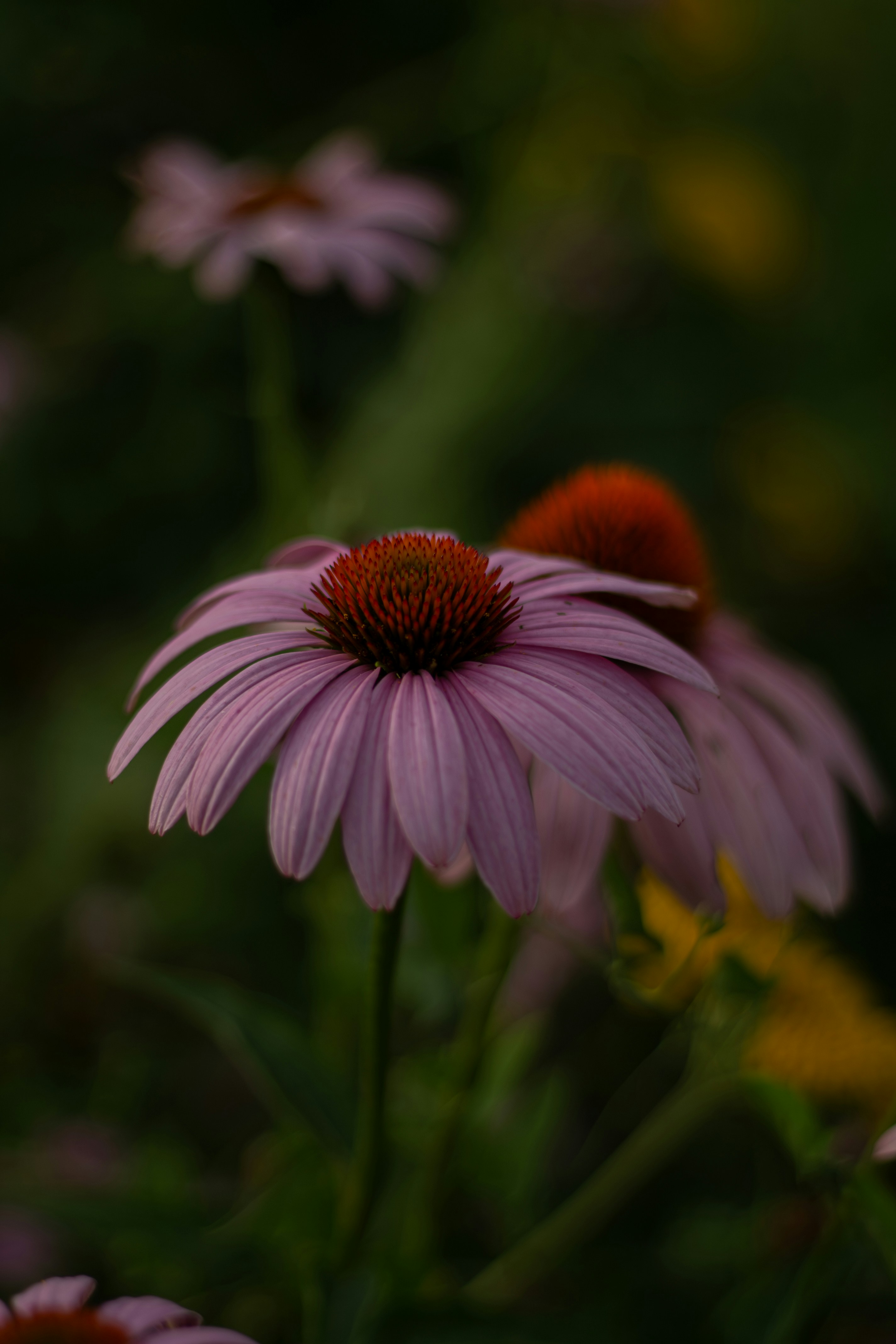 Photo by itsjoele