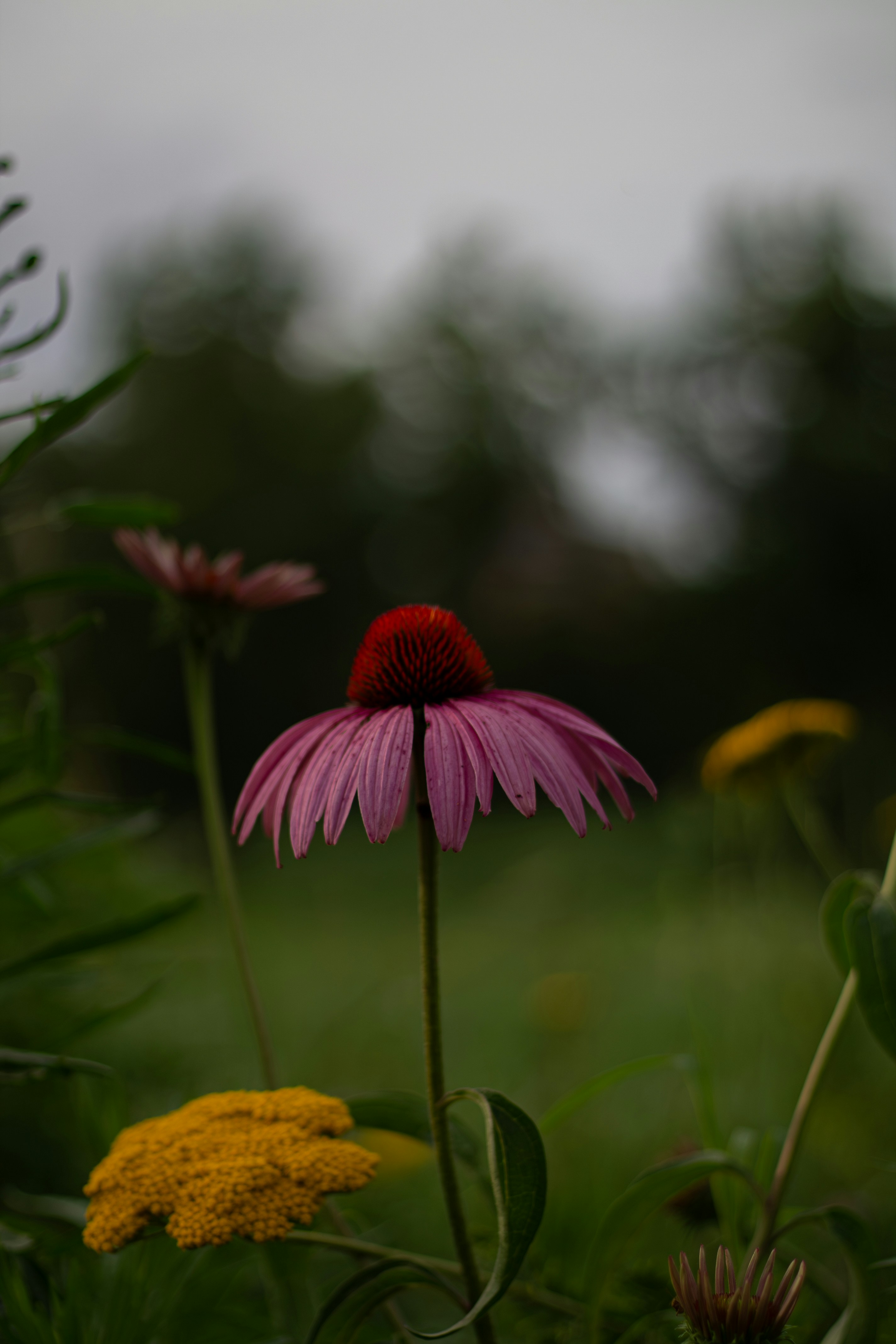 Photo by itsjoele