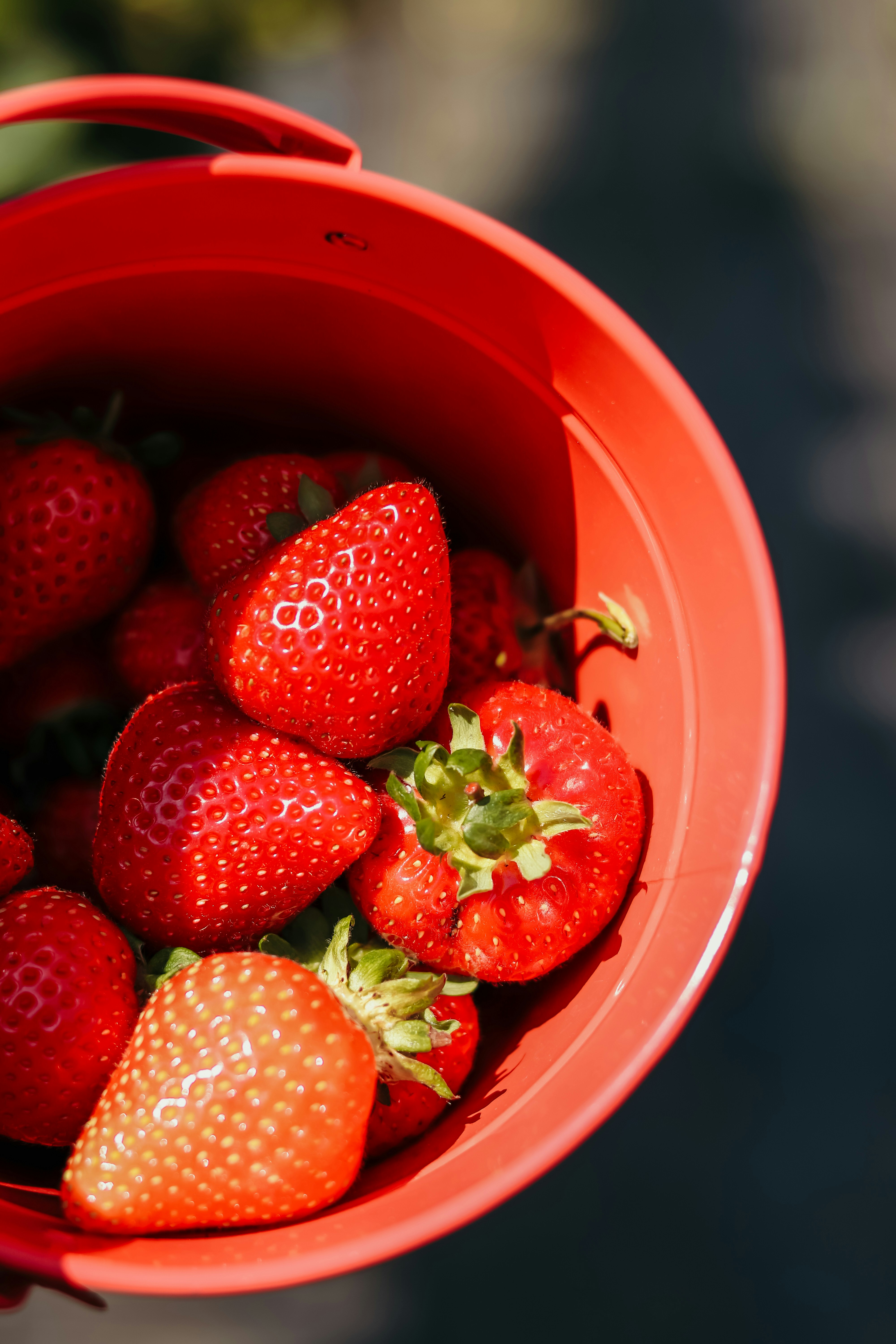 A person holding a bucket full of strawberries