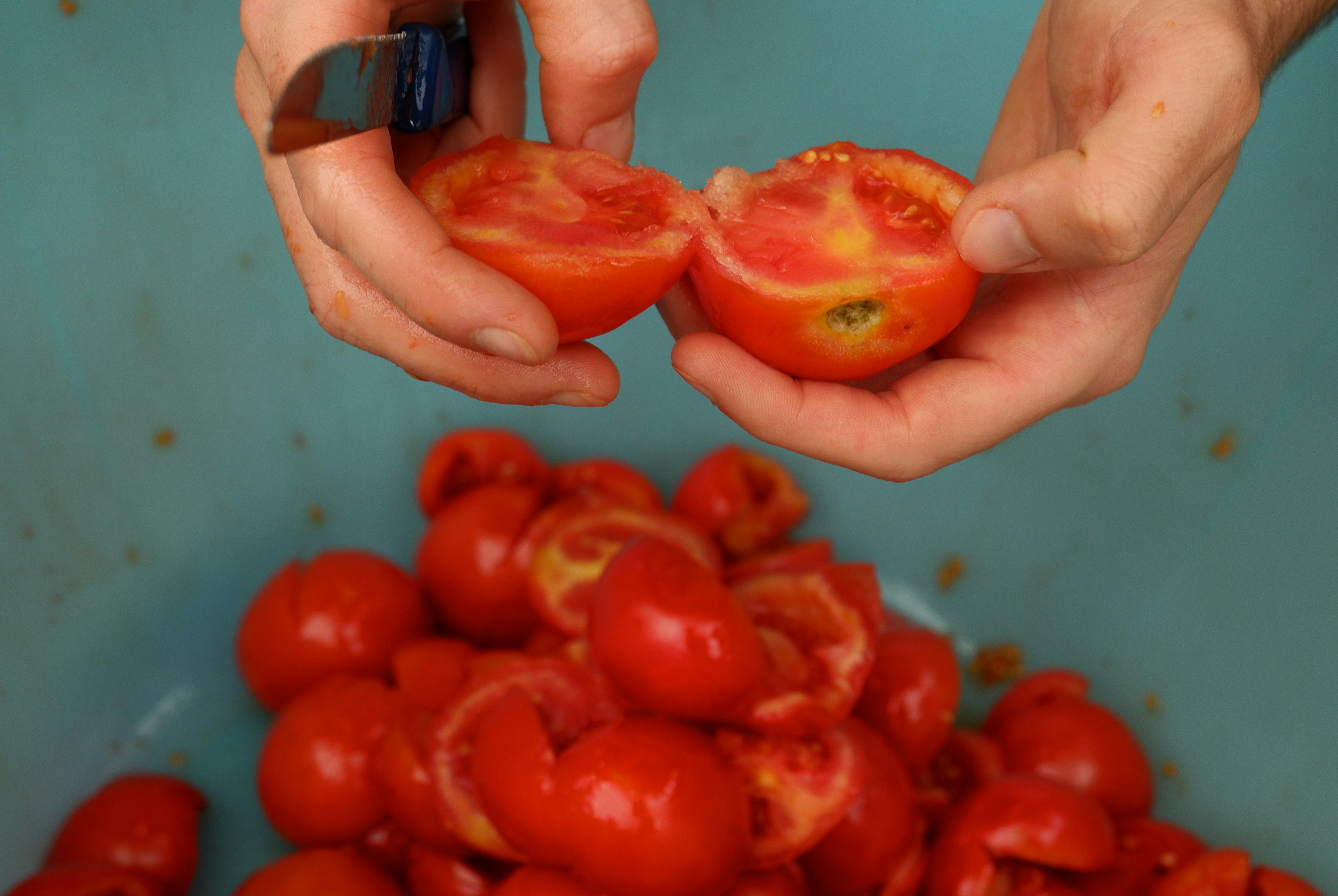 A person is peeling a tomato into small pieces