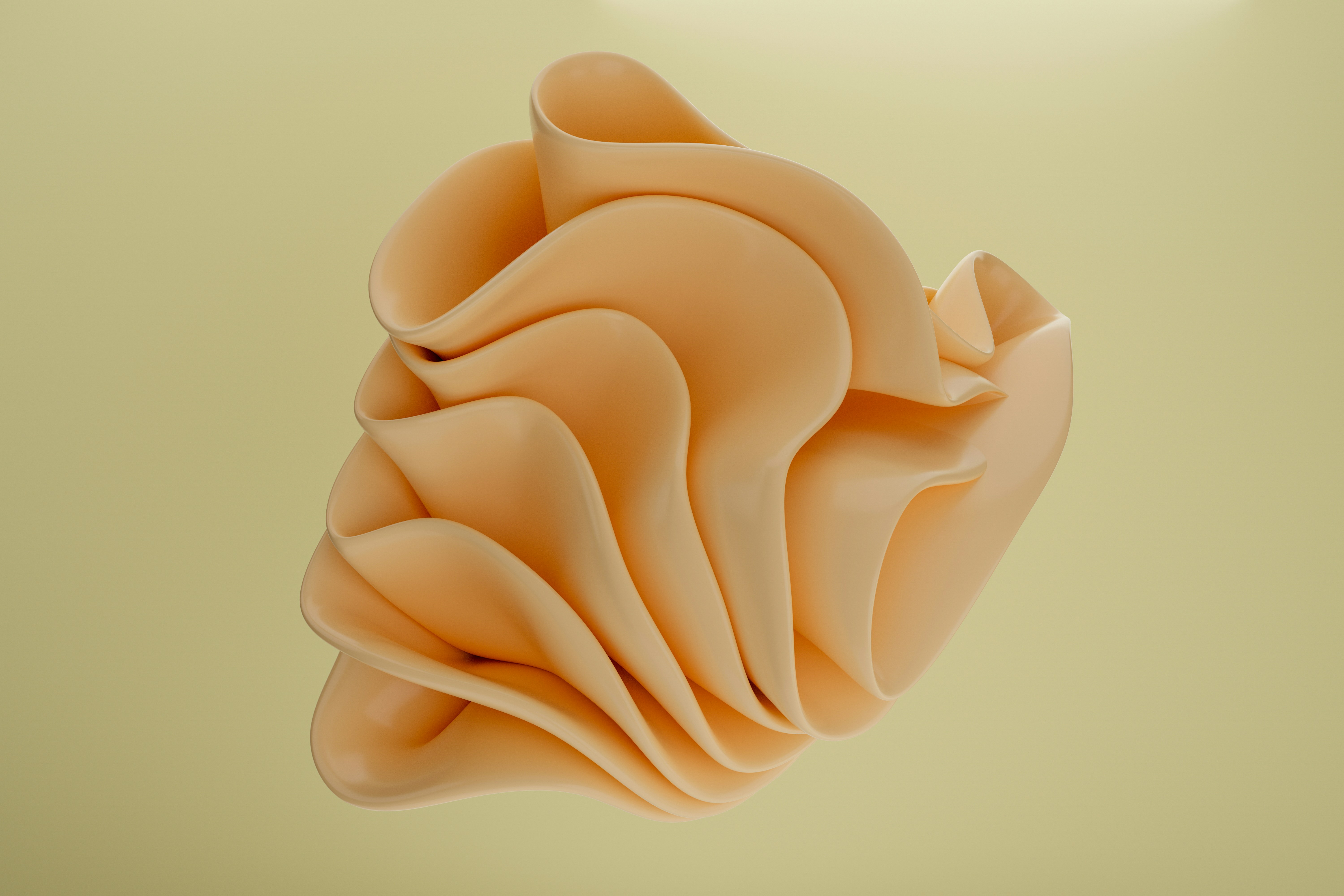 Photo by philipsfuture