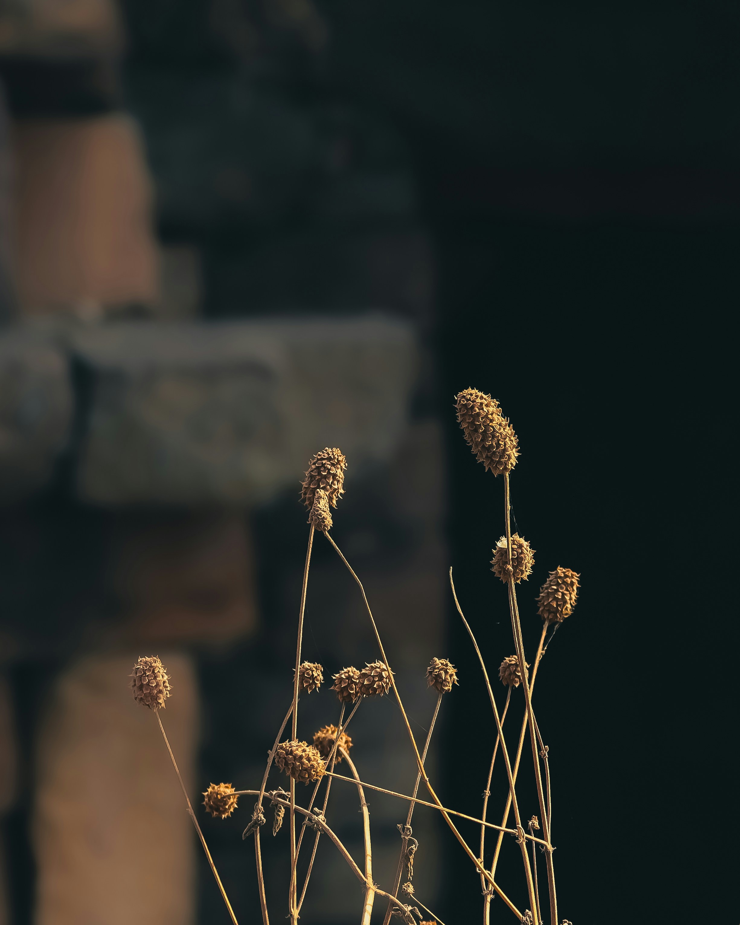 Photo by aryankumar974