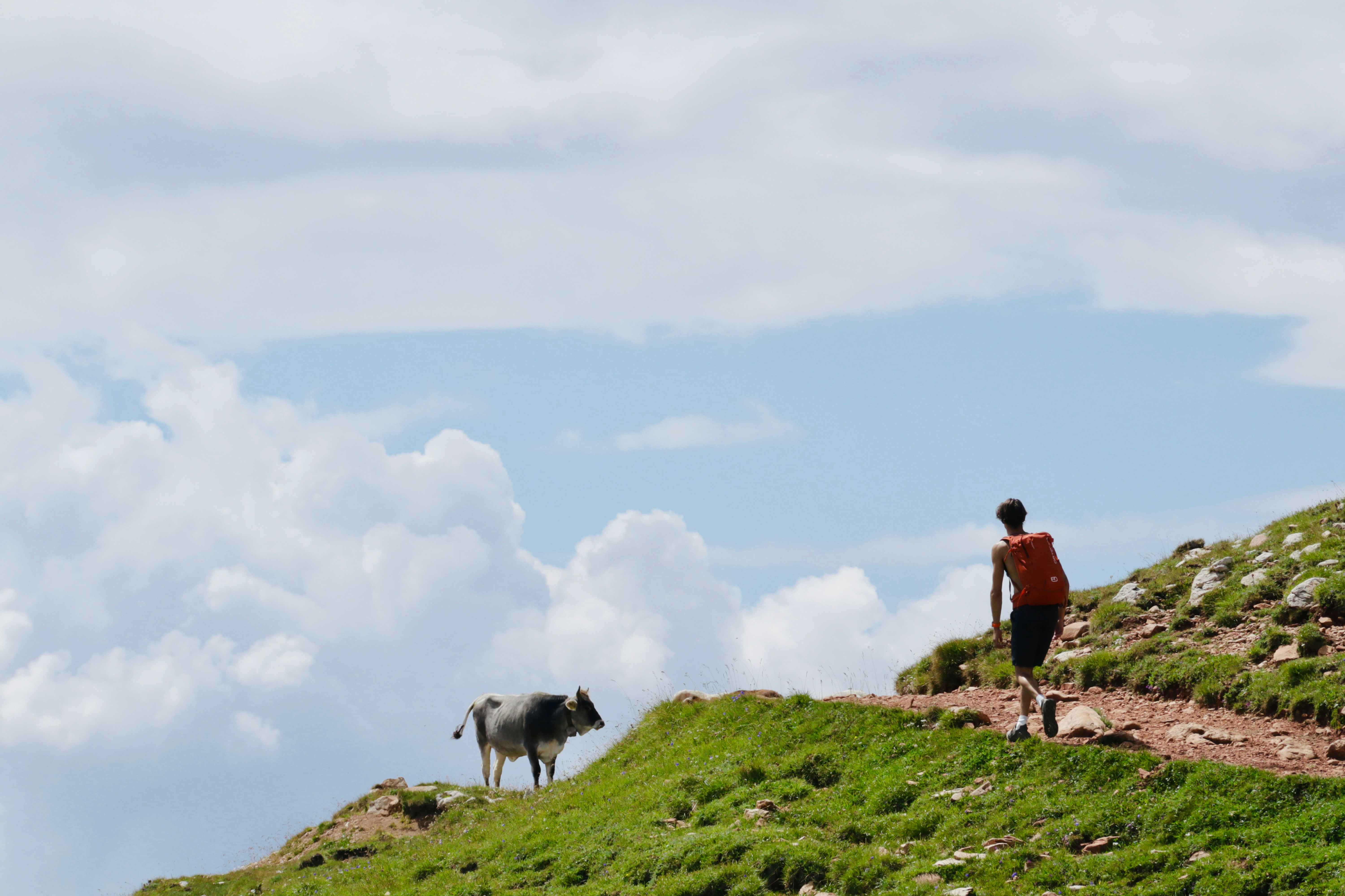 Photo by rasmusodegaard