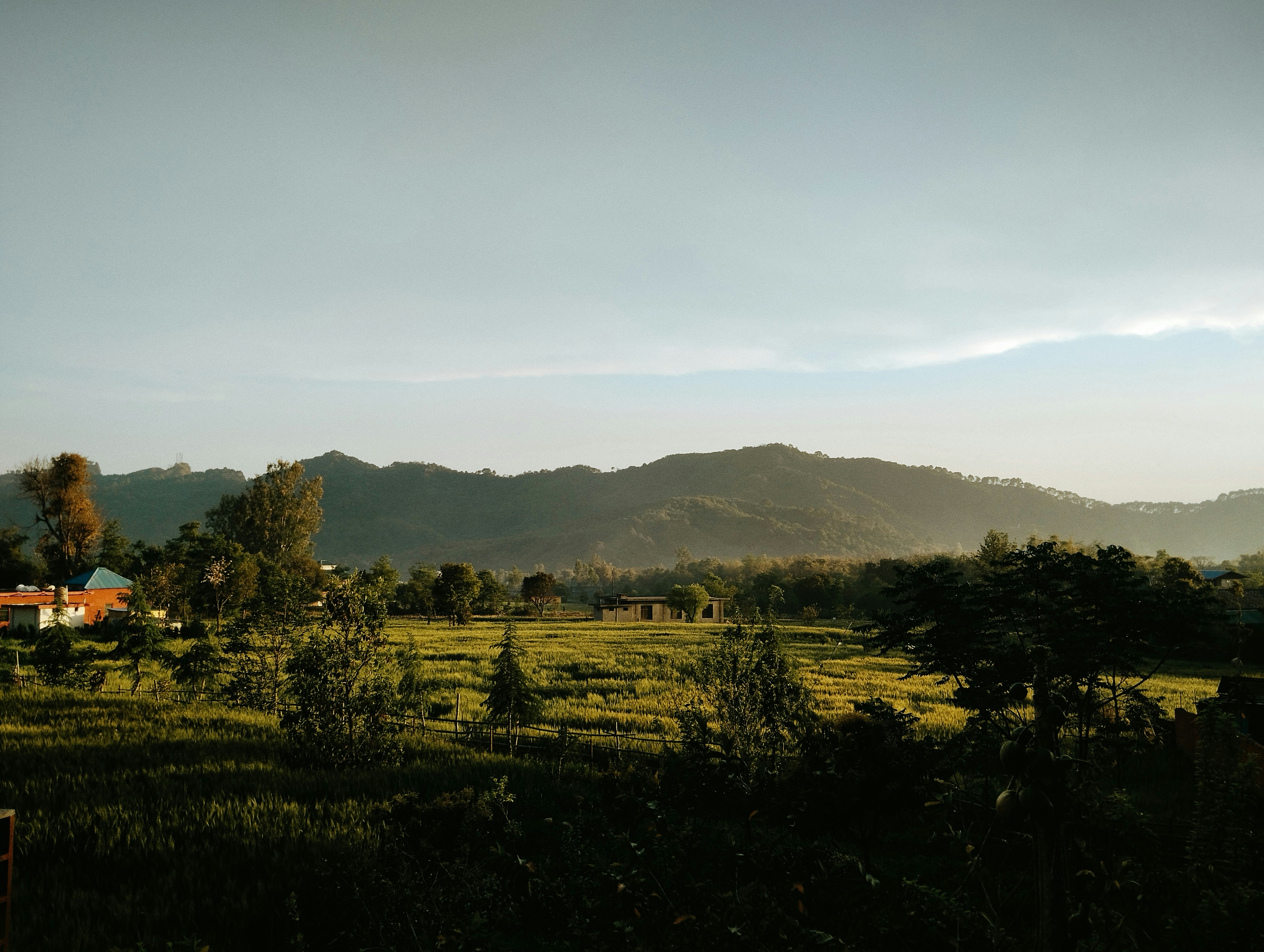 Photo by vikas_tandon