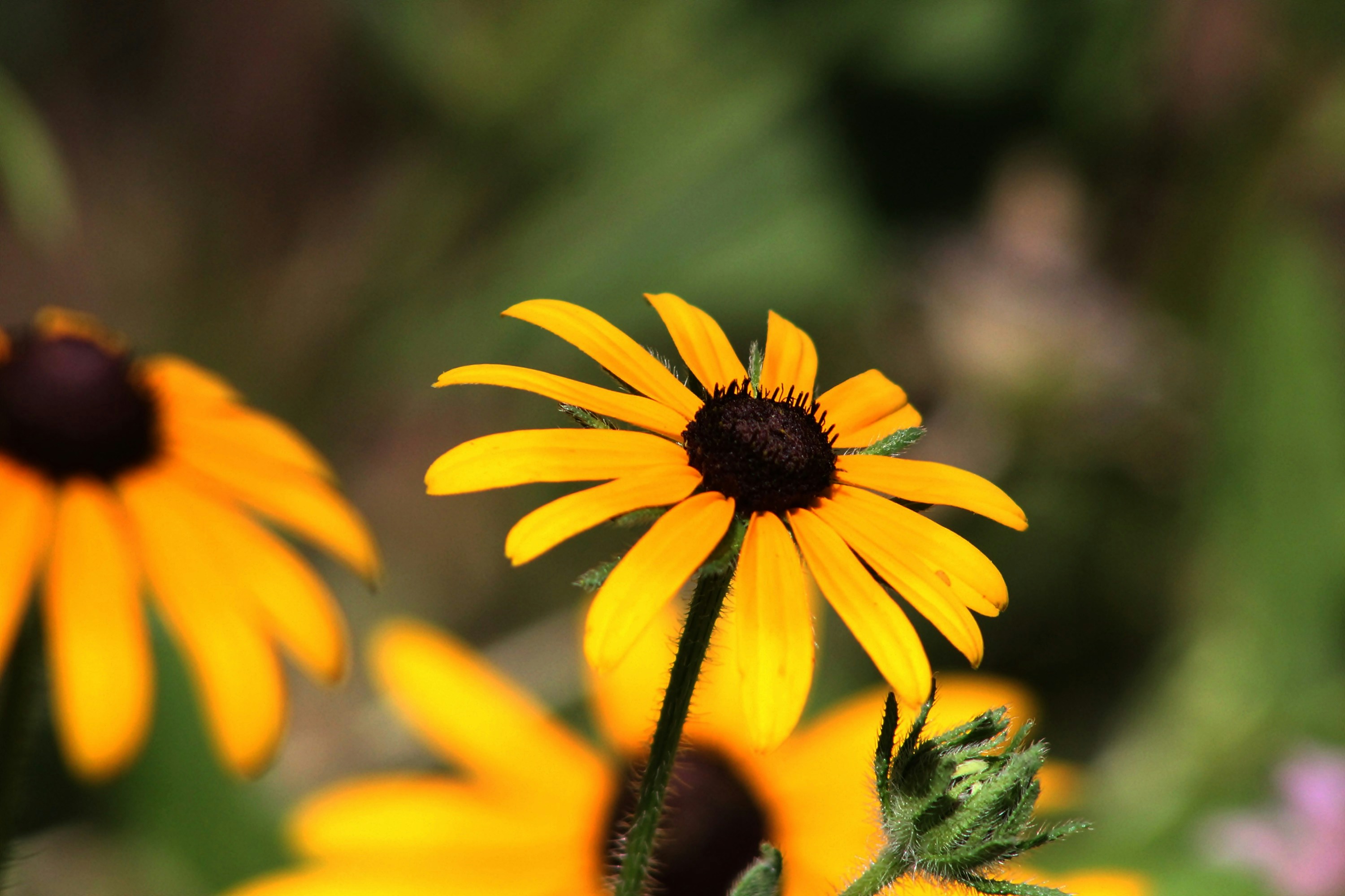 Photo by viewsofthecamera