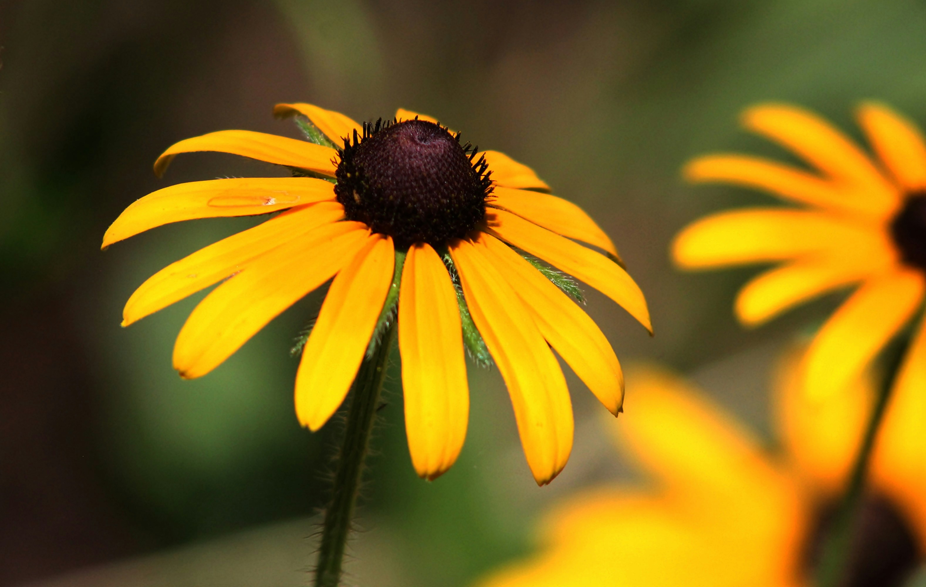 Photo by viewsofthecamera