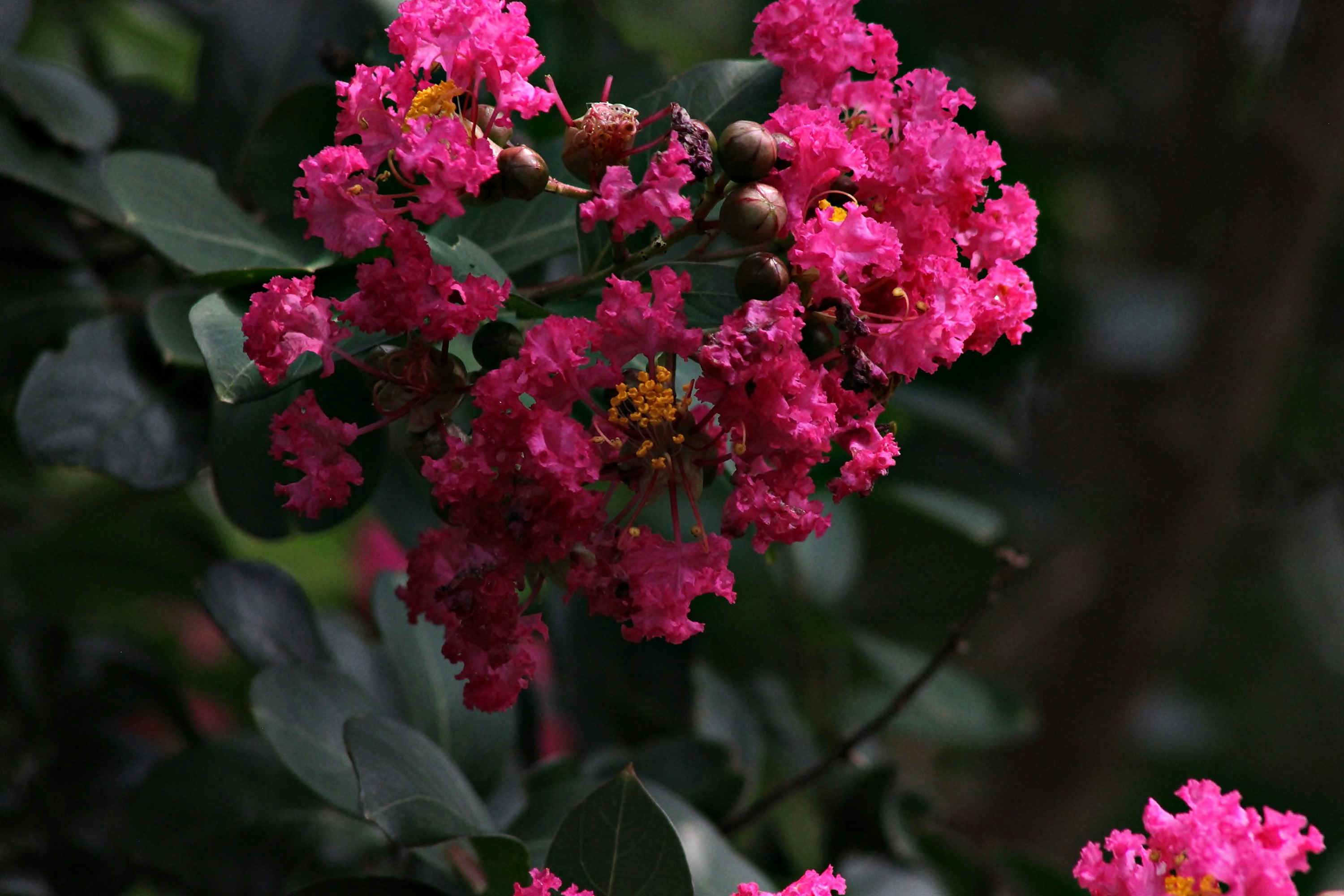 Photo by viewsofthecamera