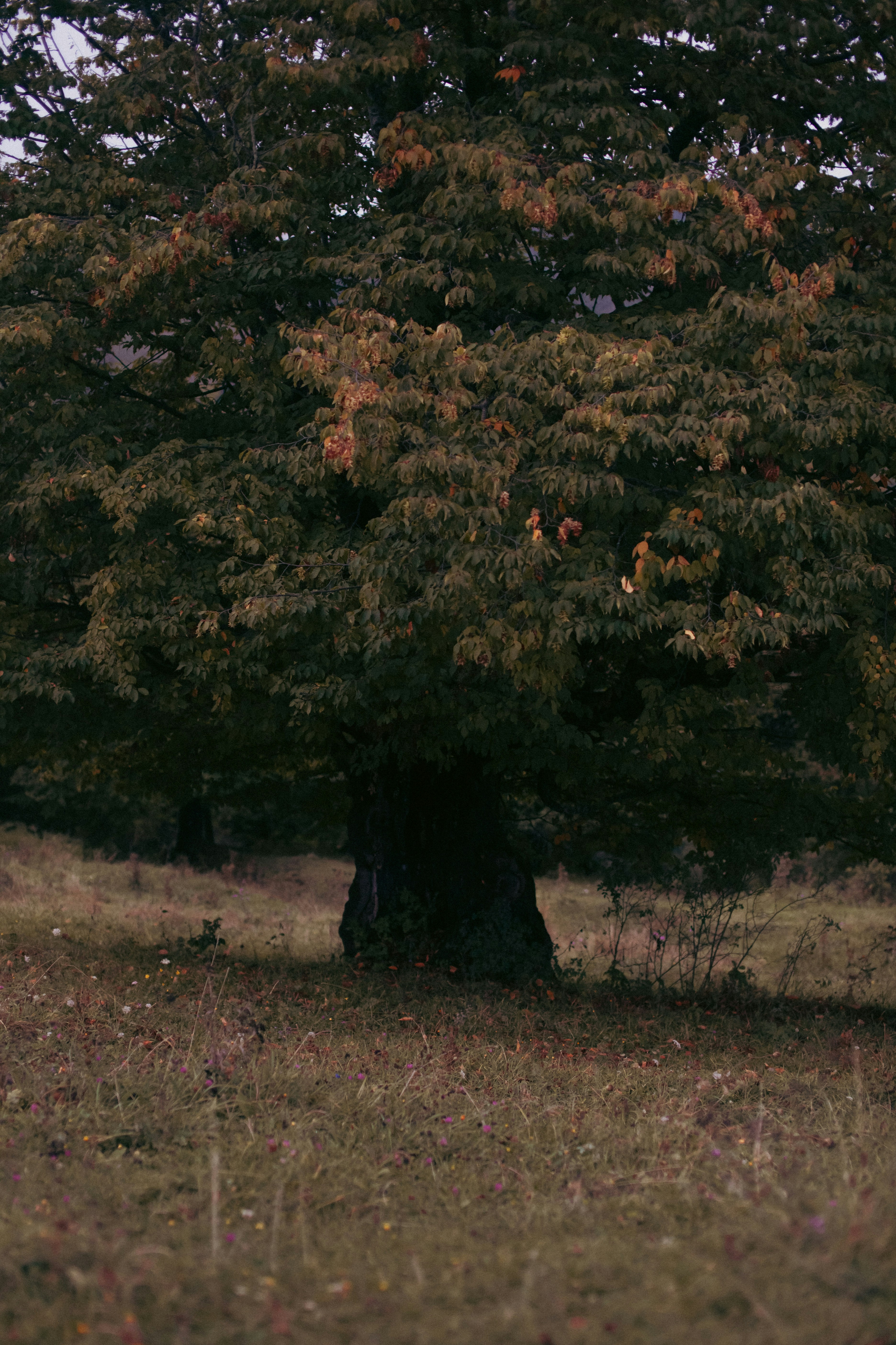 Photo by rosielifestyle