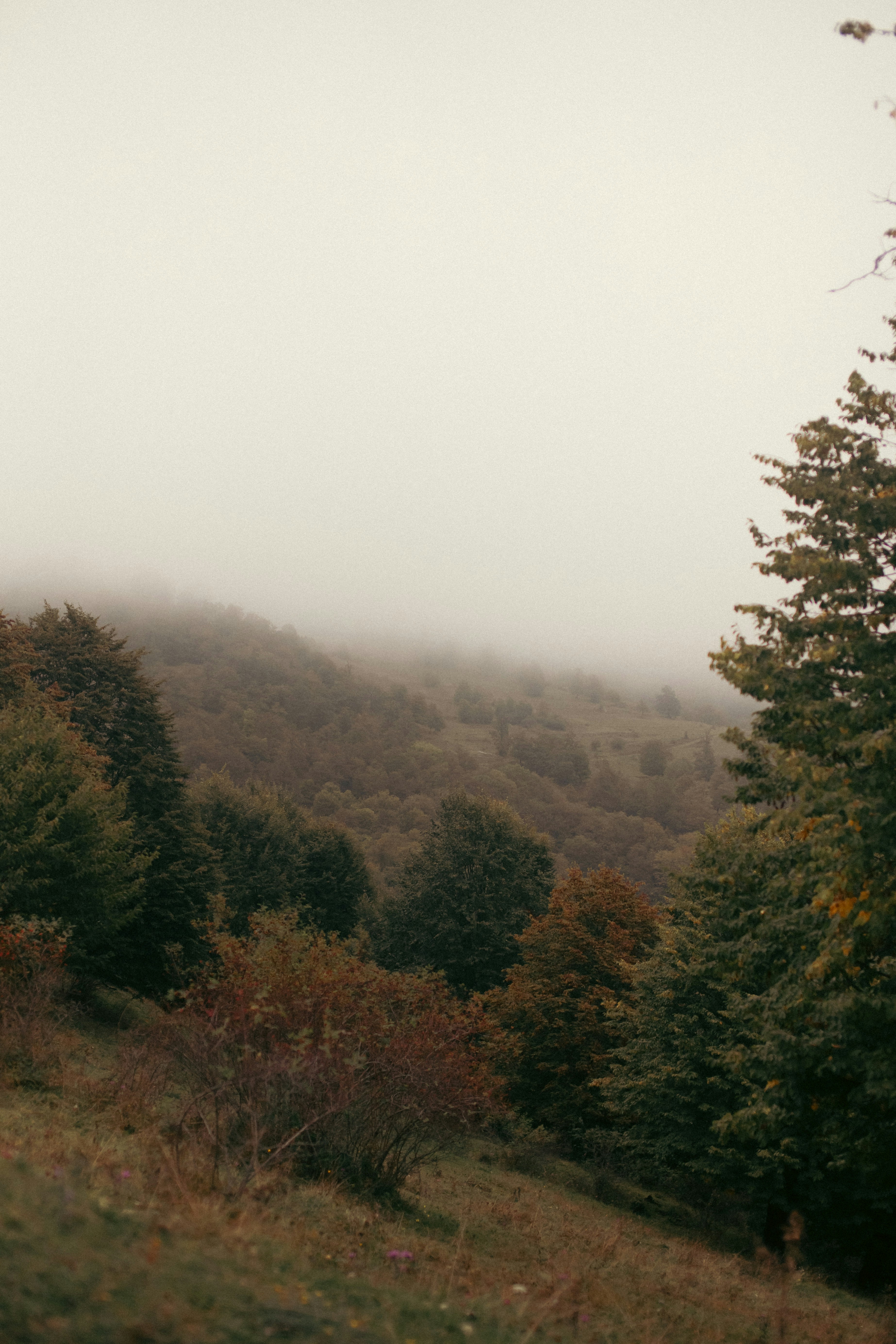 Photo by rosielifestyle