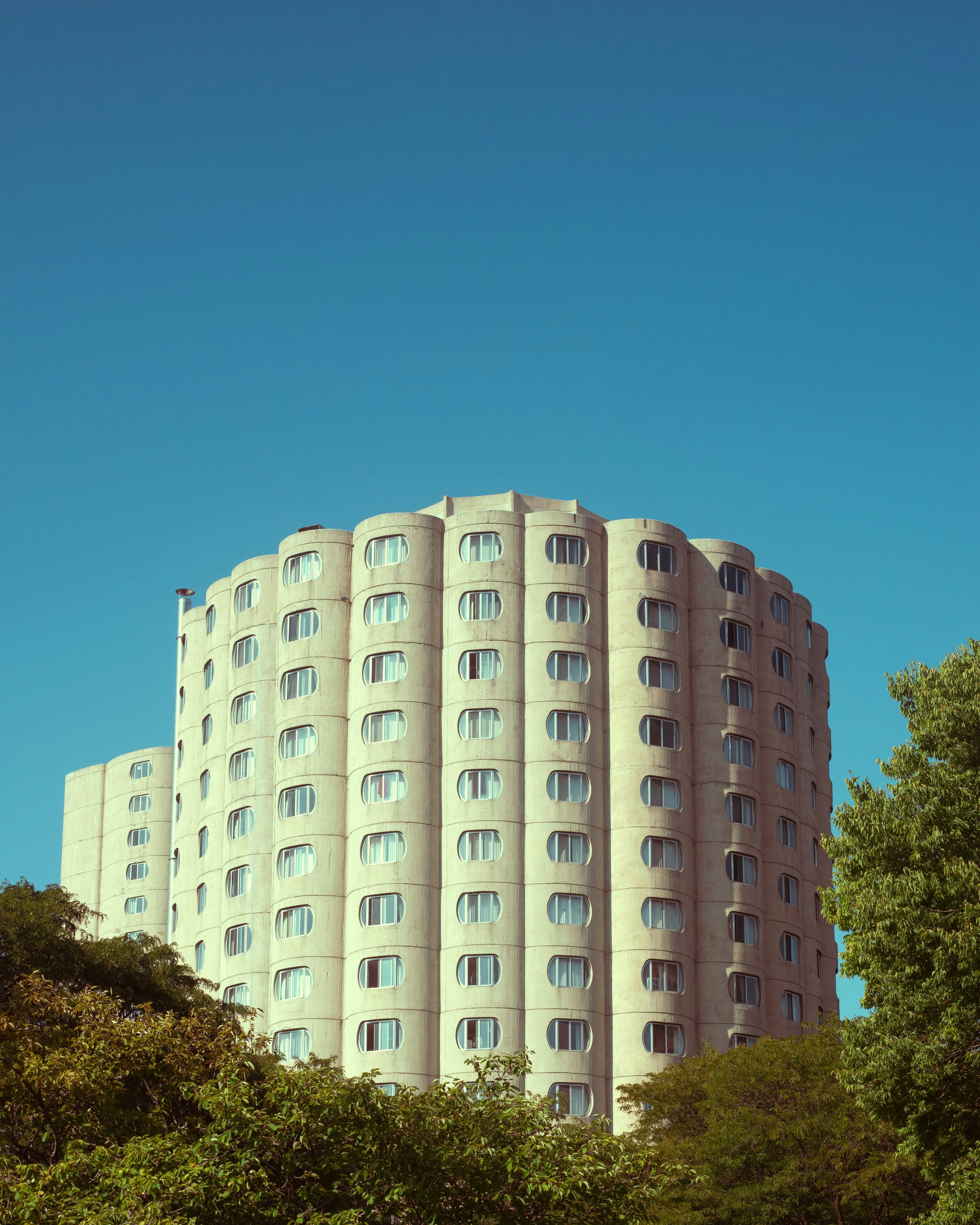 A tall white building sitting next to a lush green forest