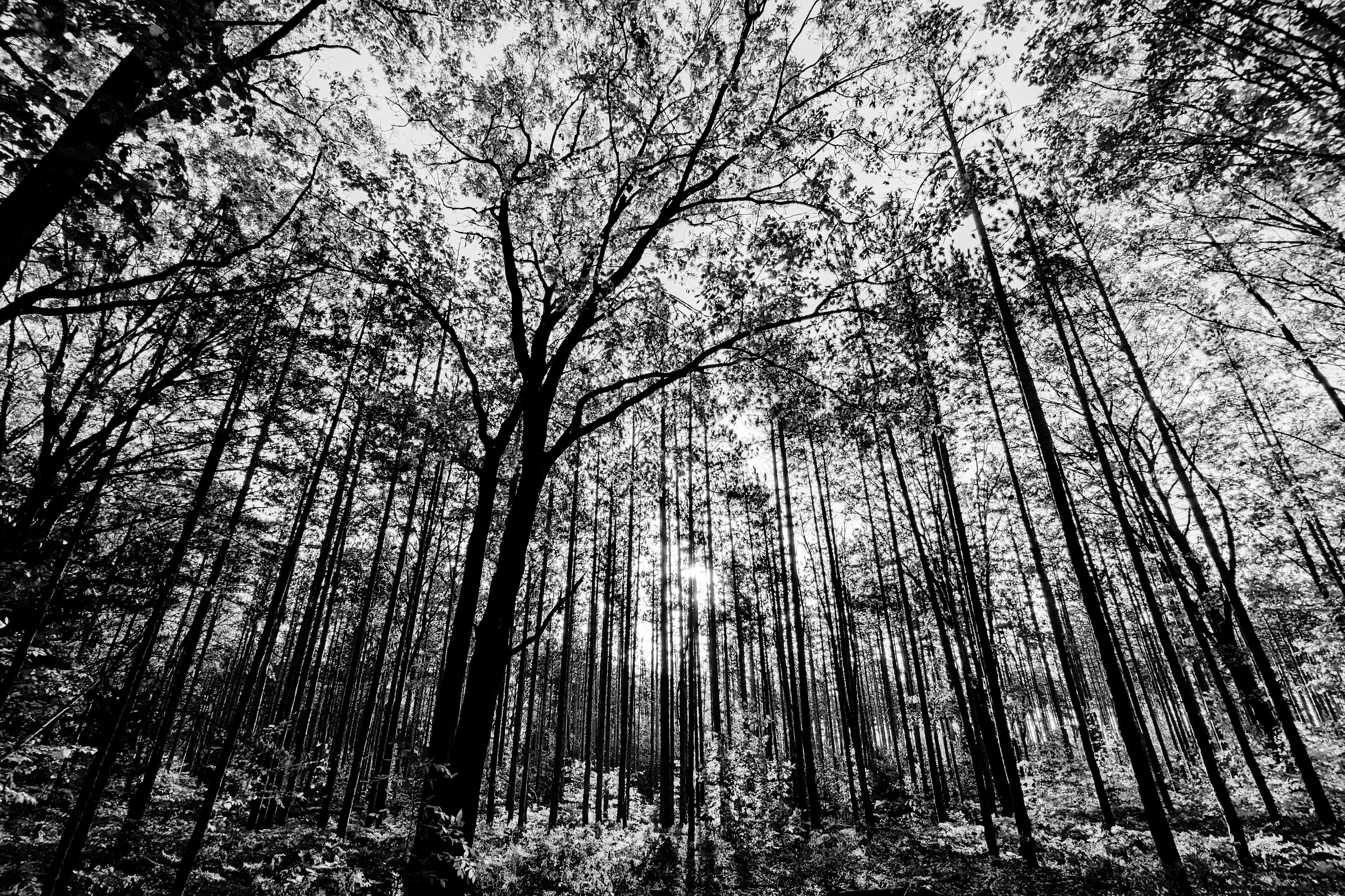 Photo by kent_pilcher