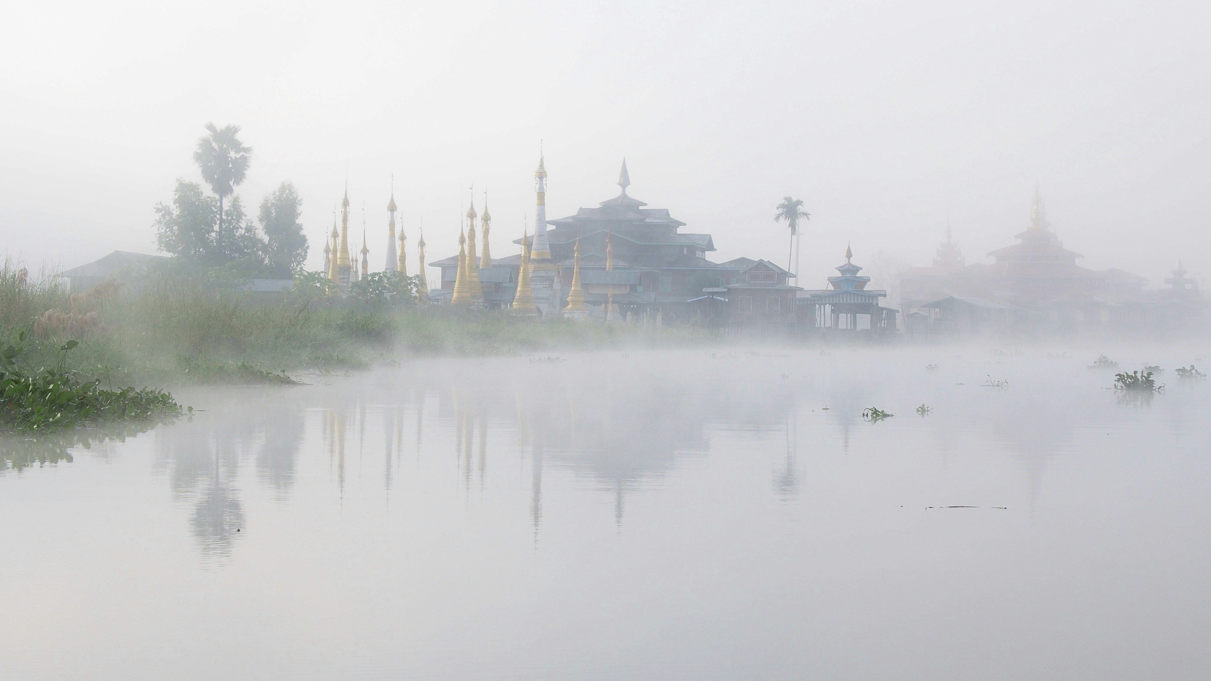 Ein Gewässer, umgeben von Bäumen und Nebel