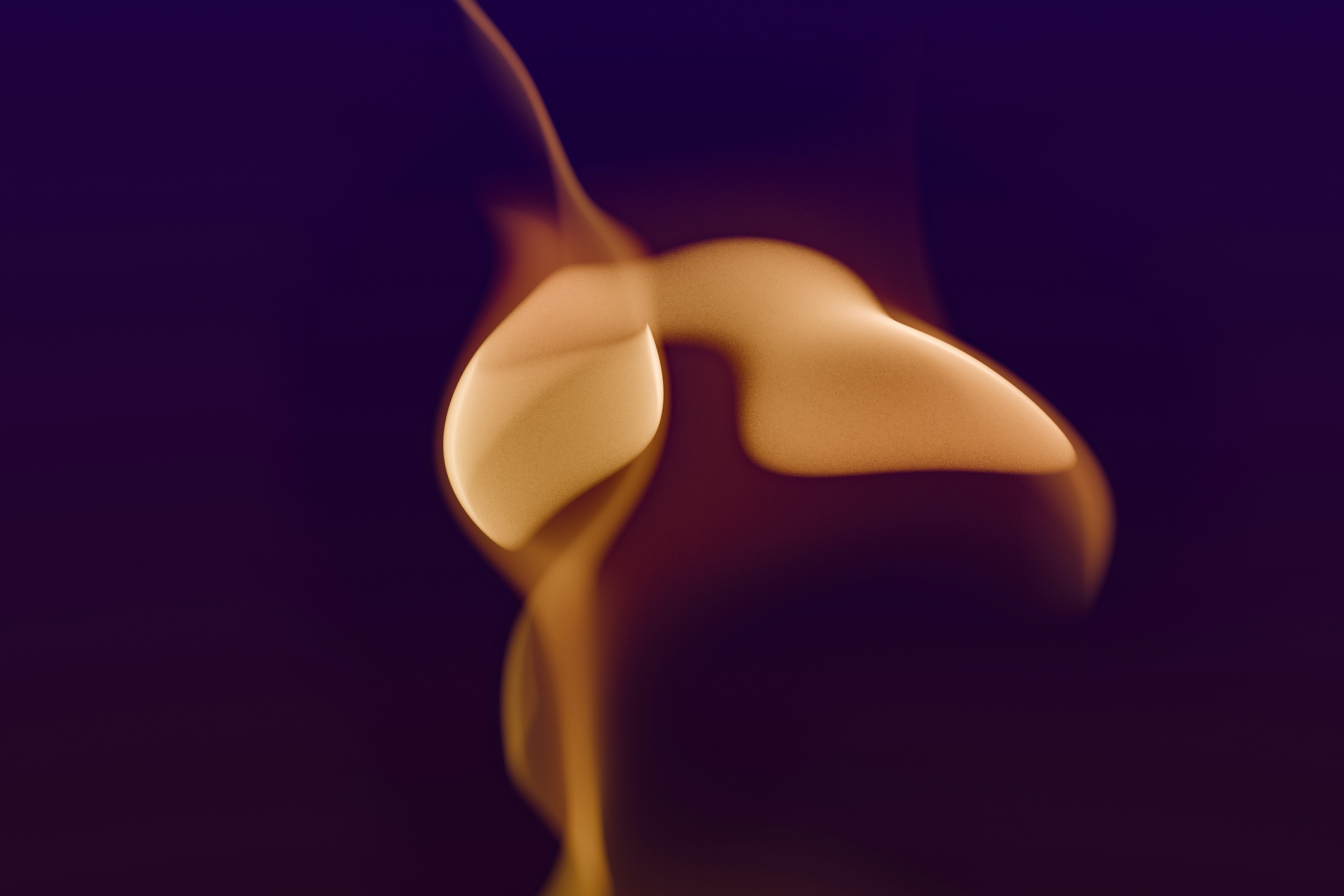 부동산 거래의 마지막 비용, 무엇을 준비해야 할까요?