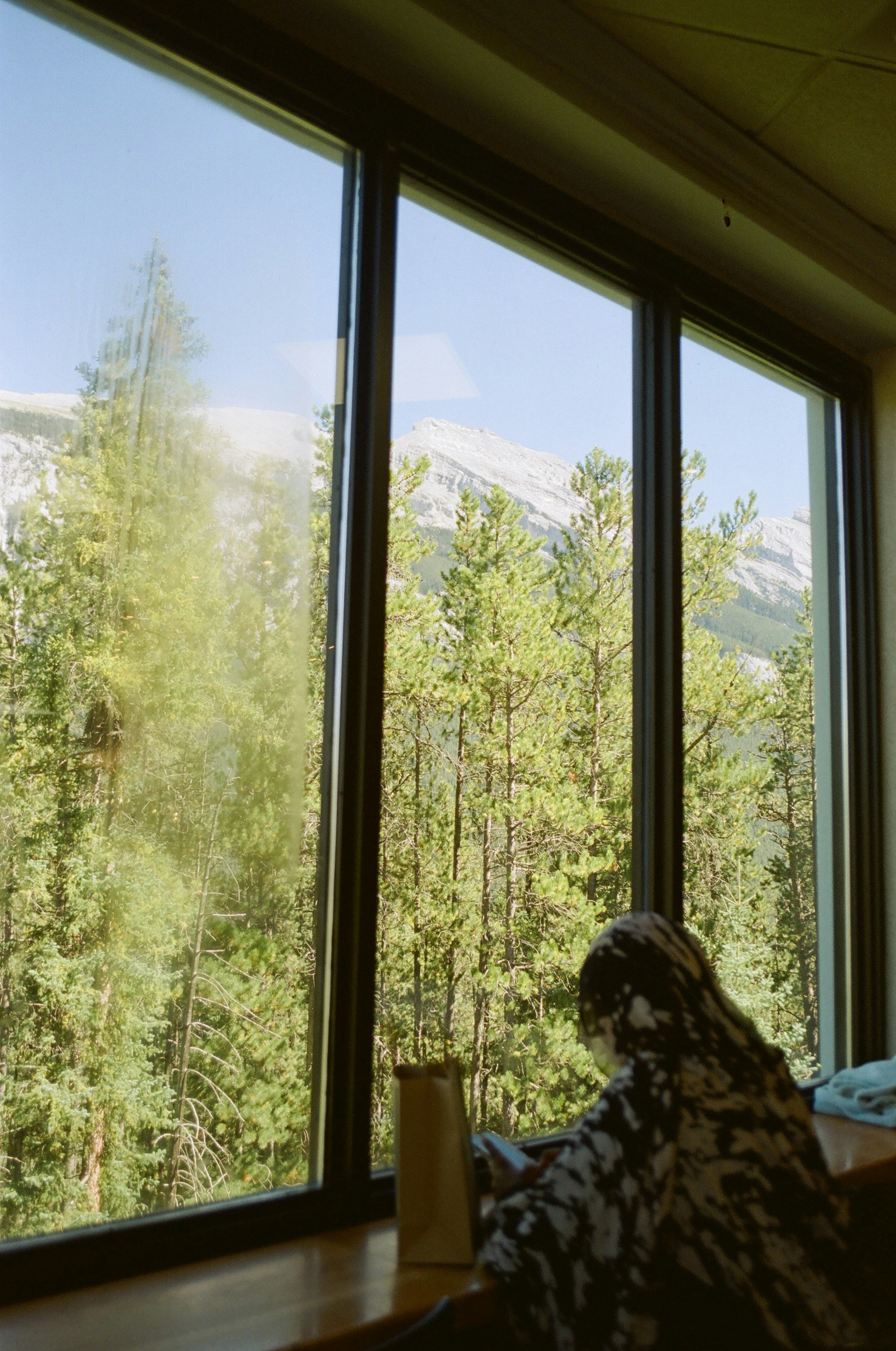 A woman sitting in a chair looking out a window photo – Free Human ...
