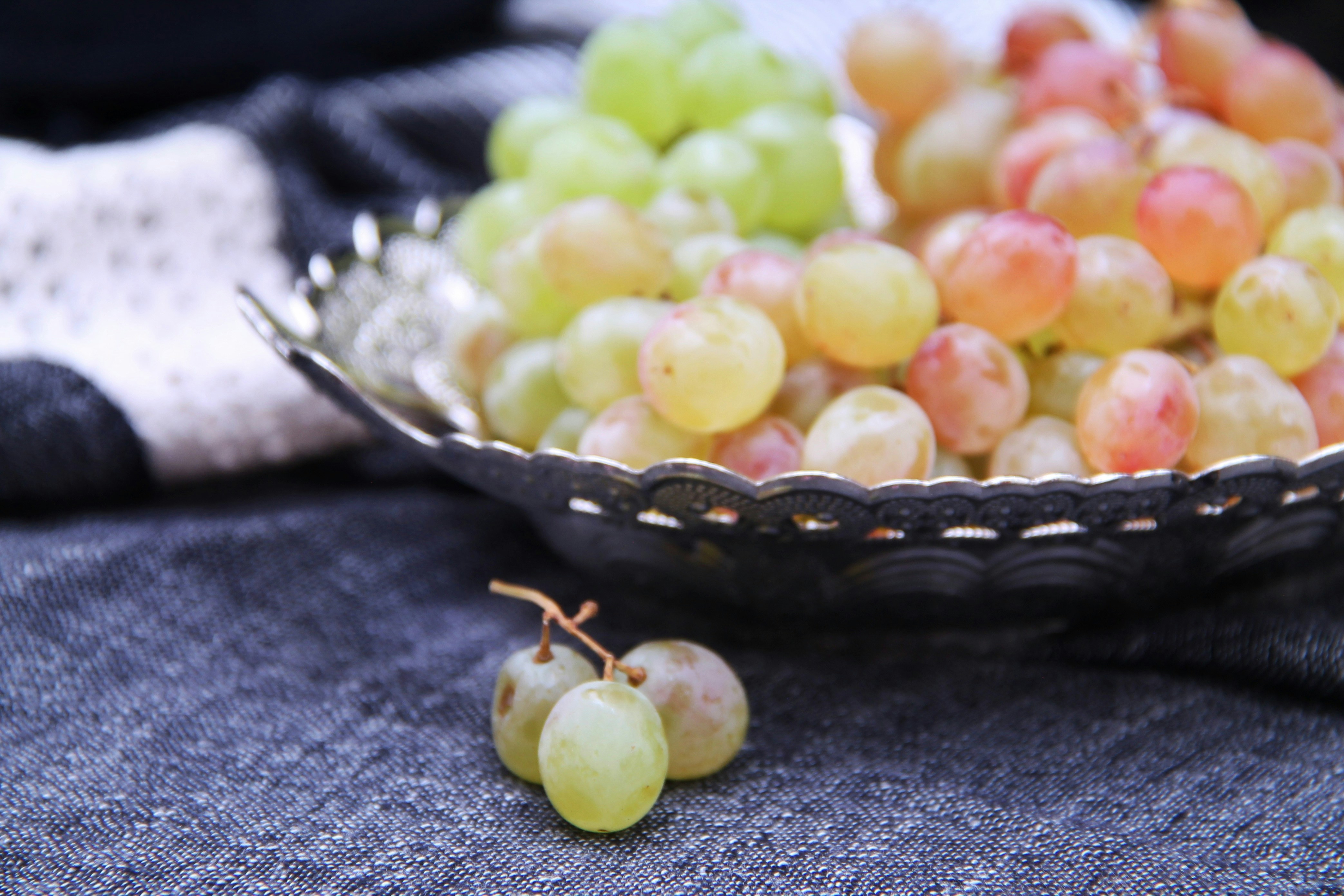 Photo by saharkhosrogorji