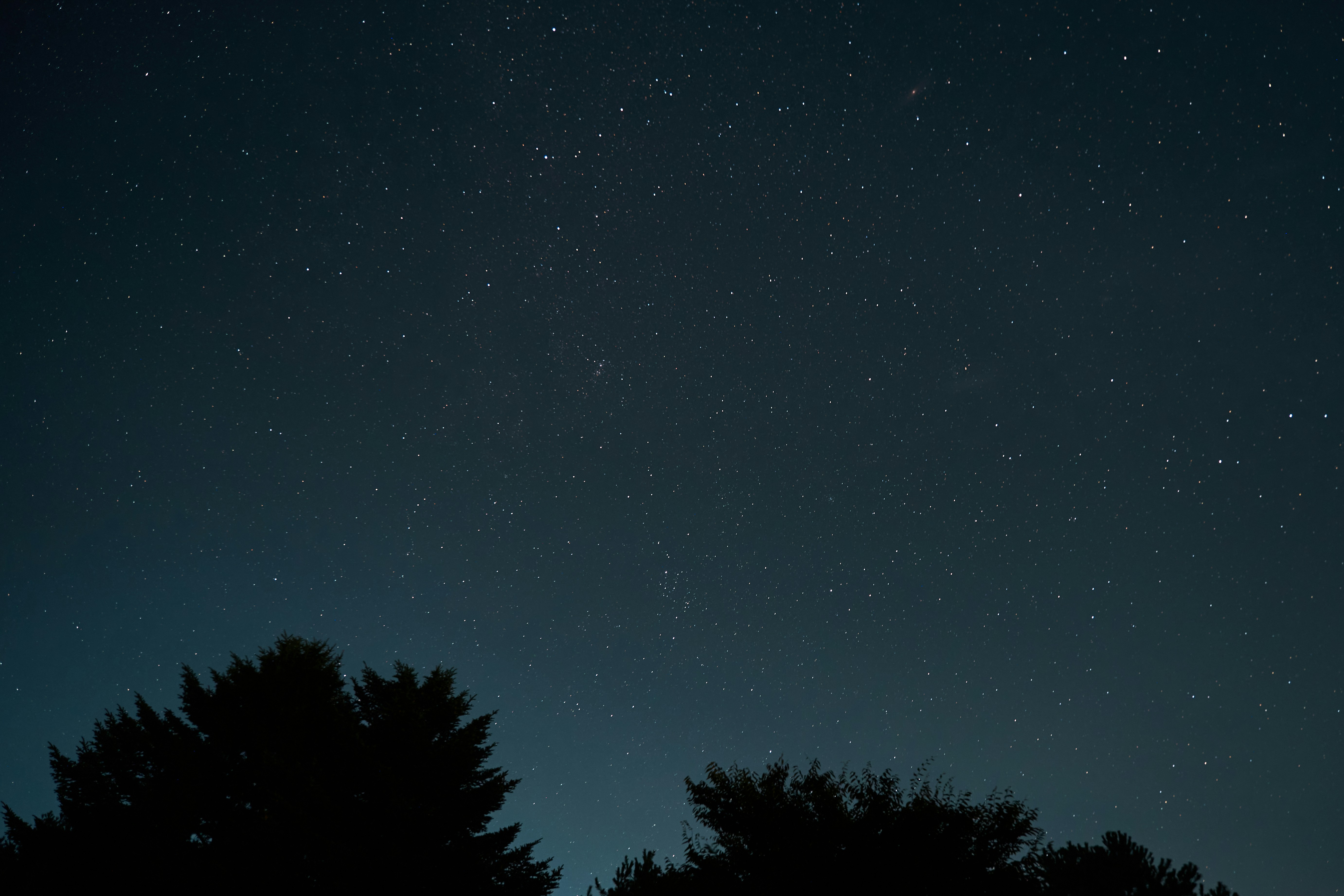 A night sky with stars and trees in the foreground photo – Free Galaxy ...